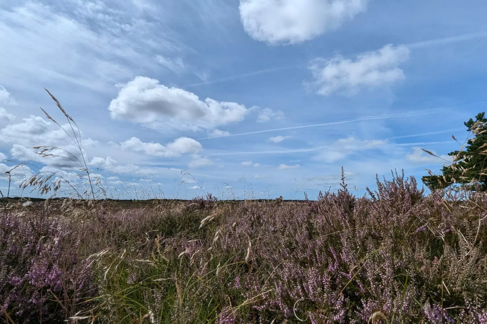 Rustig toevluchtsoord in Bolilmark-By Traum