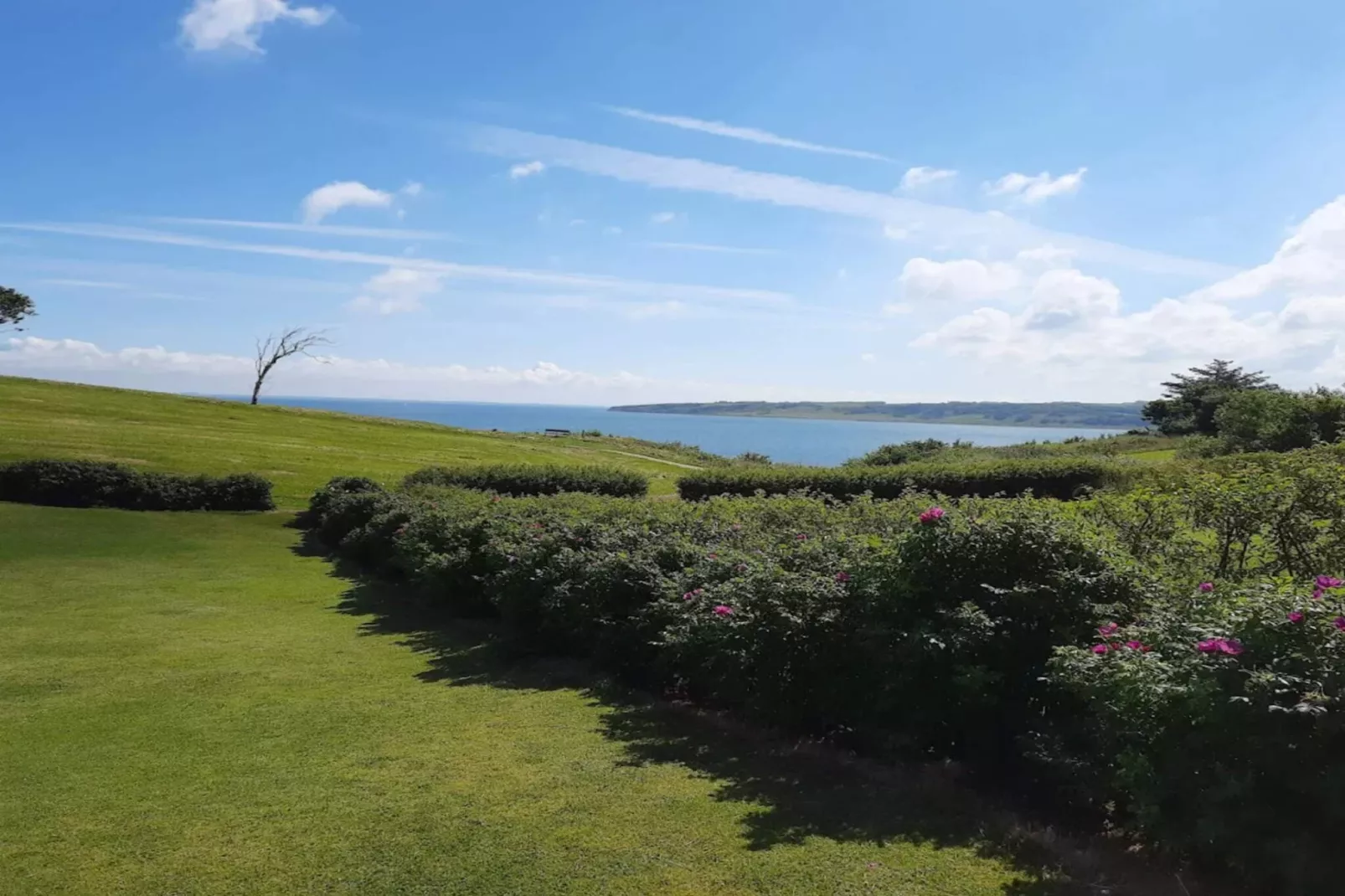 6 persoons vakantie huis in Lemvig-Waterzicht