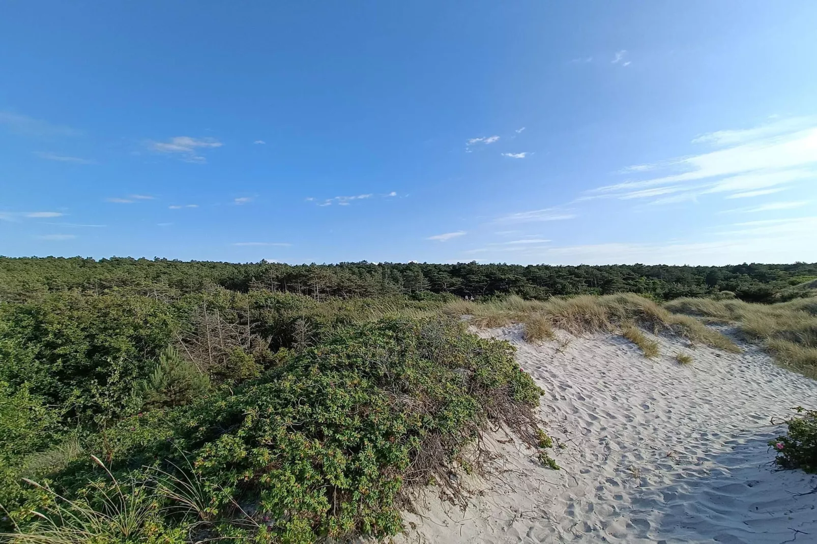 Gezellig toevluchtsoord in Rorvig Haven-By Traum-Niet-getagd