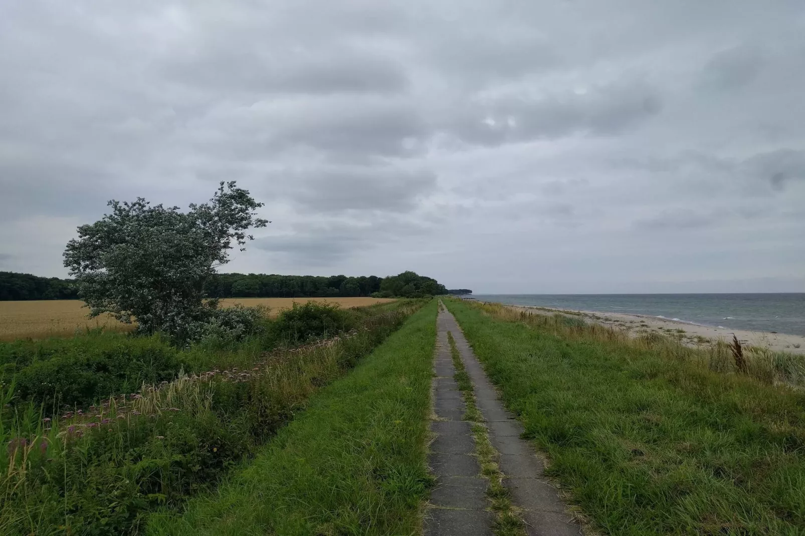 5 persoons vakantie huis in Otterup-Niet-getagd