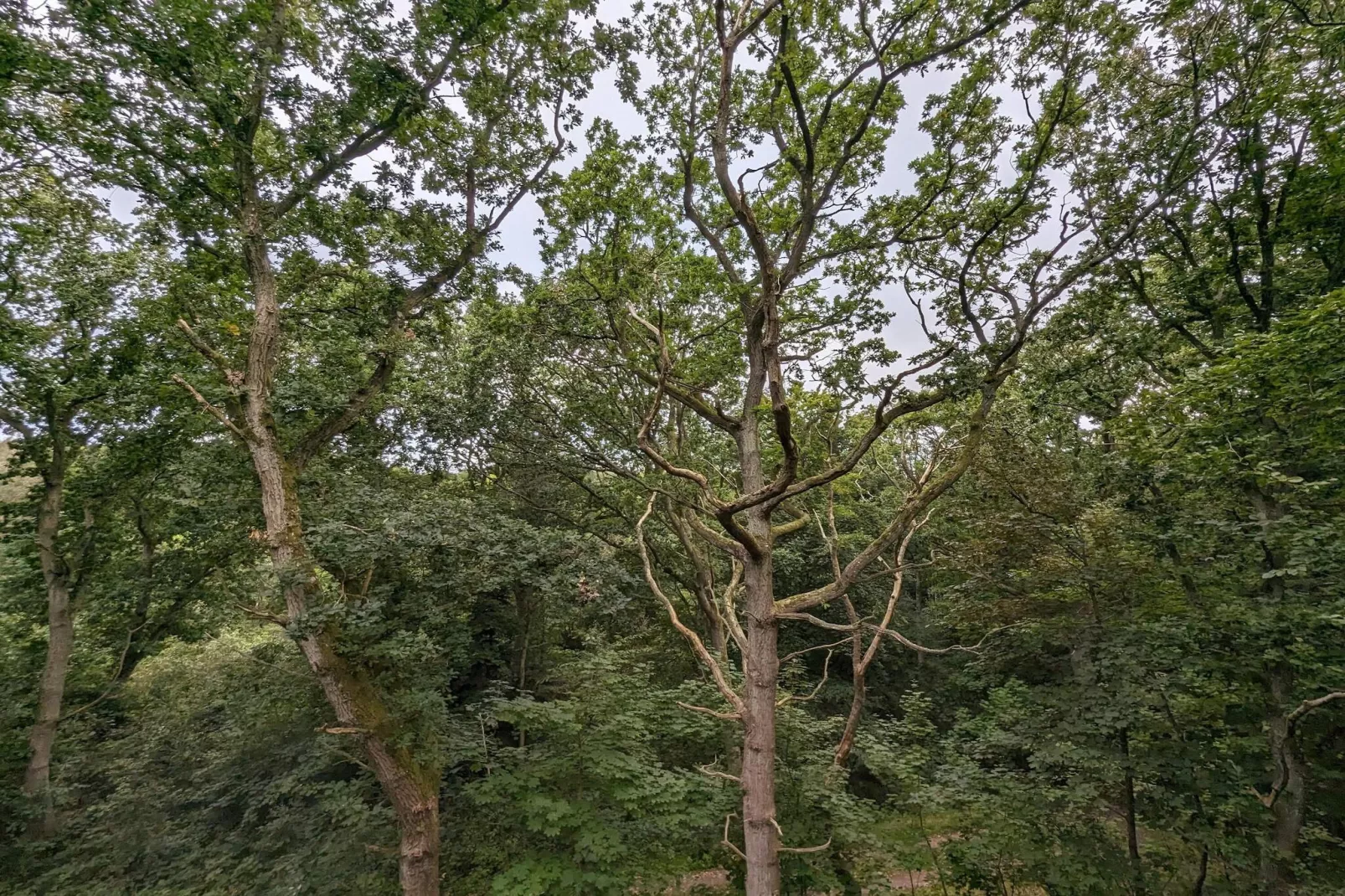 Luxe toevluchtsoord in oster Hurup-By Traum-Niet-getagd