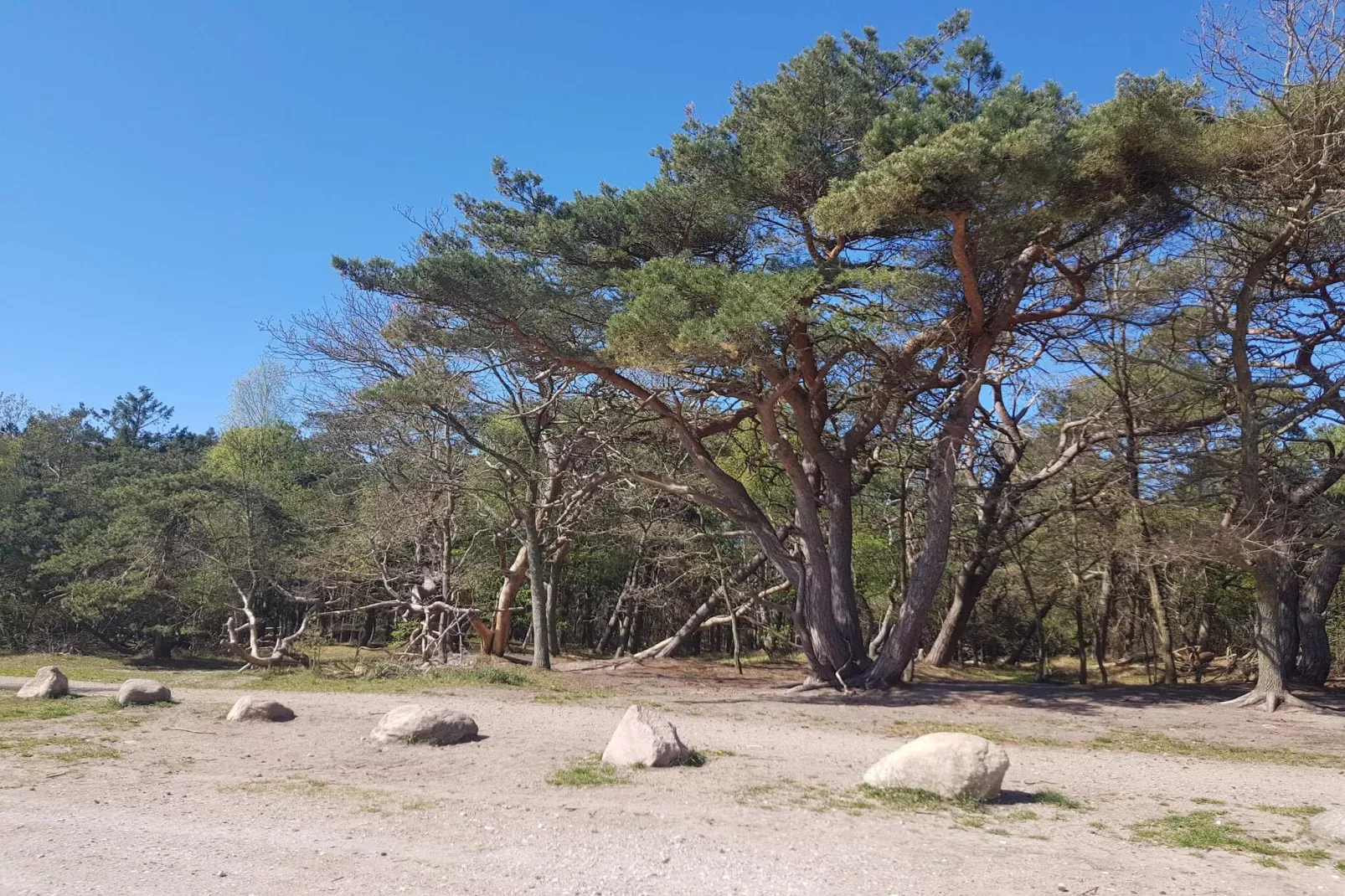 24 persoons vakantie huis in Frederiksværk-Niet-getagd