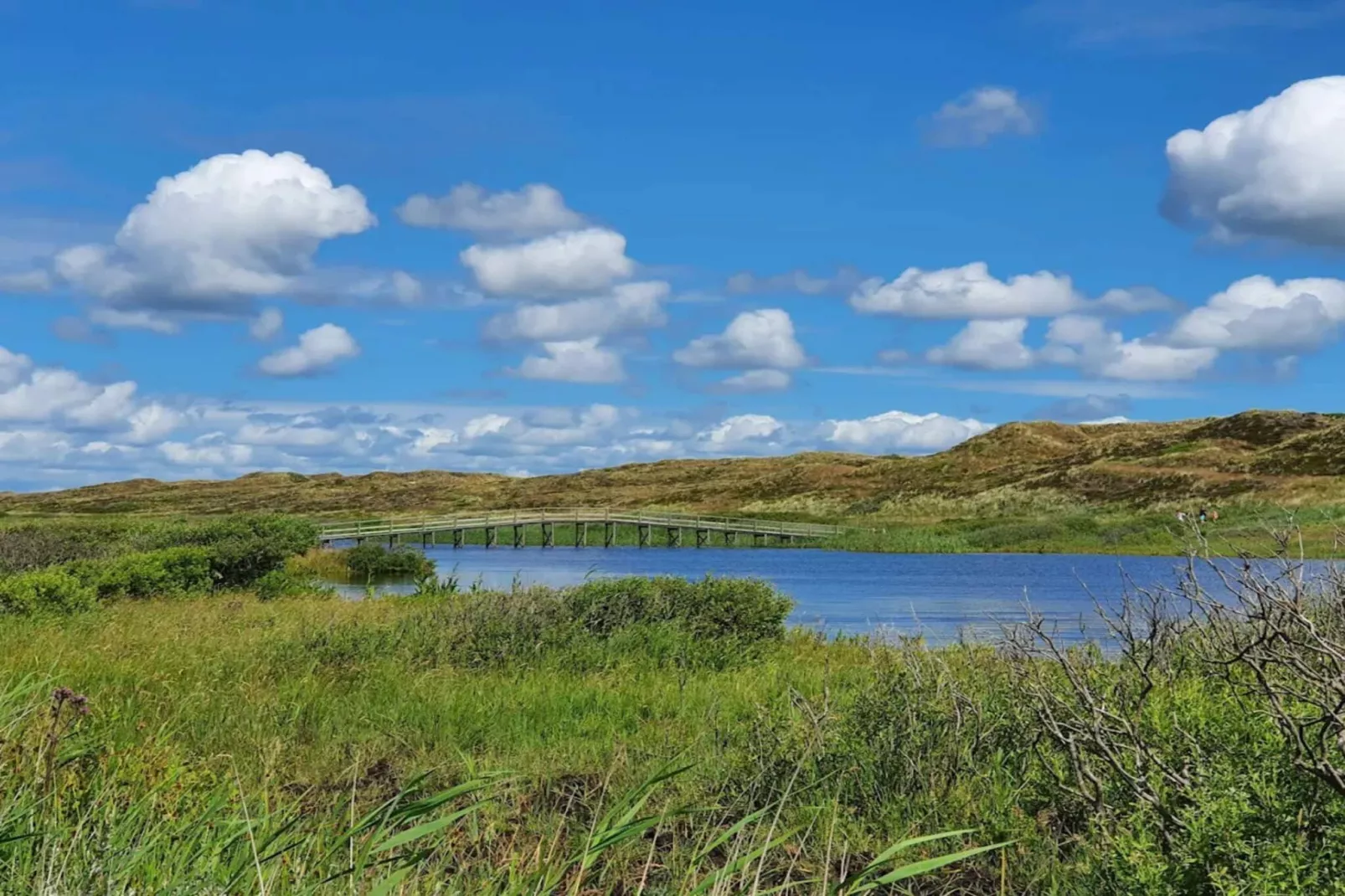 Luxe toevluchtsoord bij heidegebied-By Traum