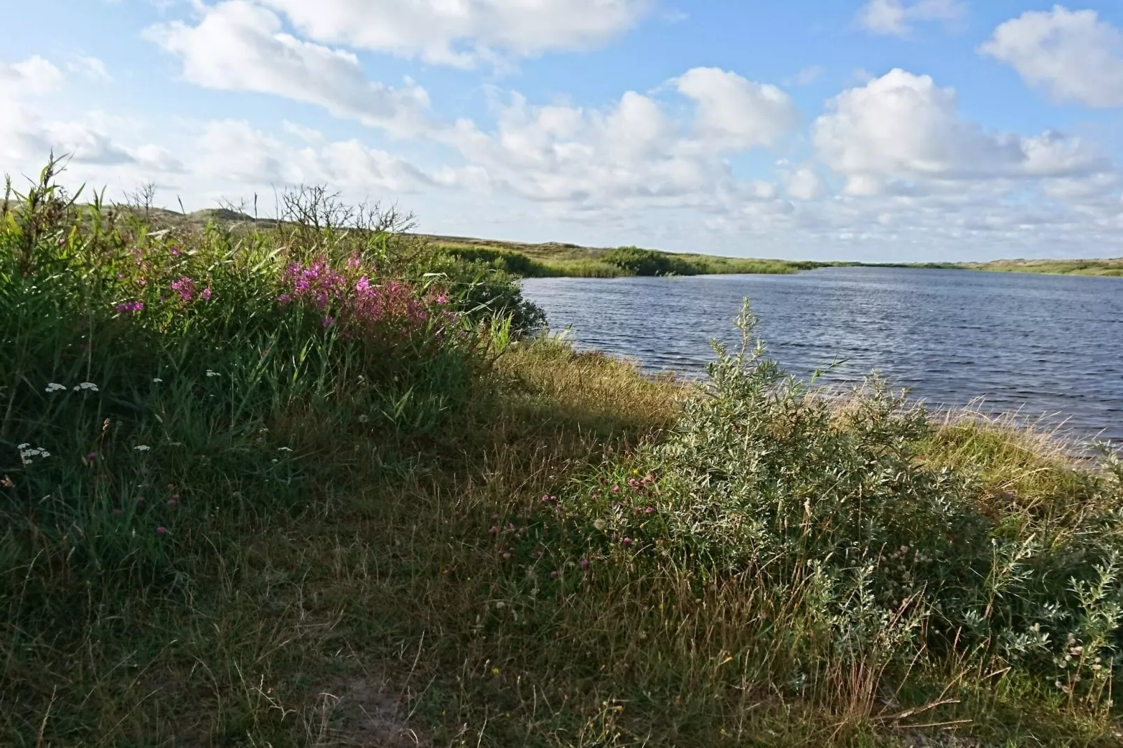Lichte huisje met overdekt terras-By Traum