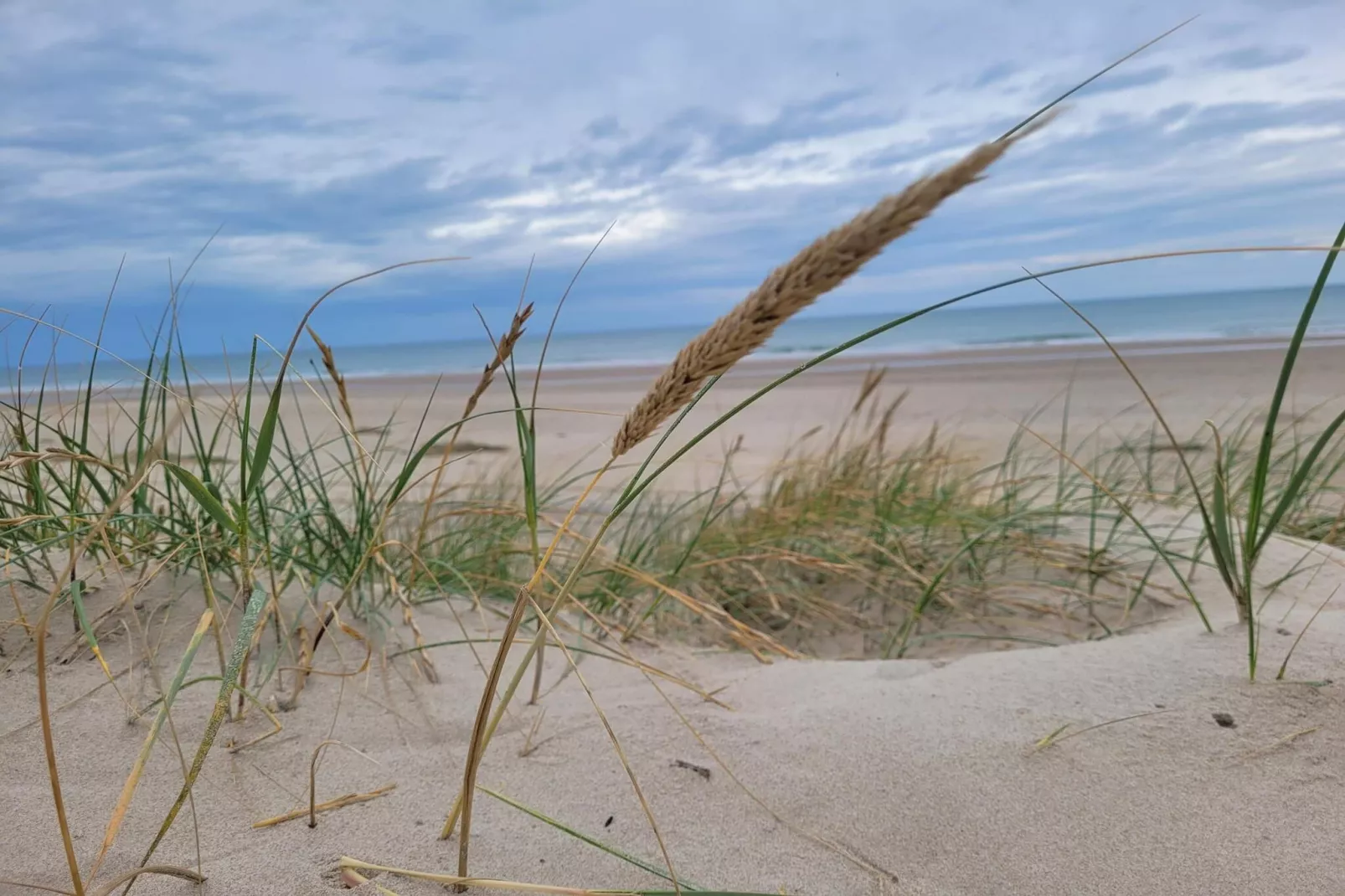 6 persoons vakantie huis in Strandby-Niet-getagd