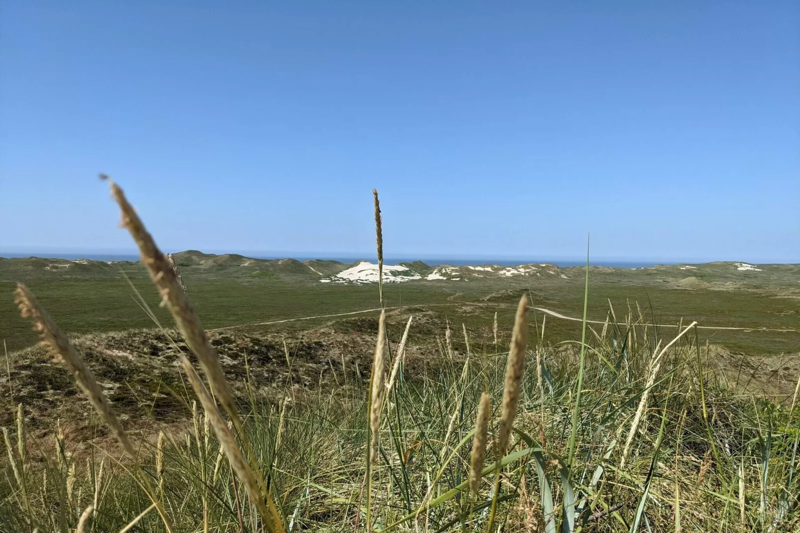 6 persoons vakantie huis in Hvide Sande-Niet-getagd