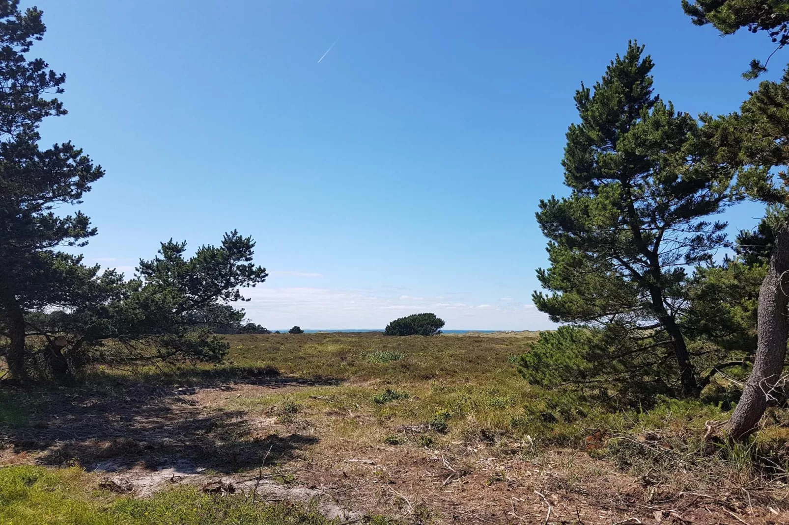 Gezellig eilandtoevluchtsoord in Vestero-By Traum-Niet-getagd