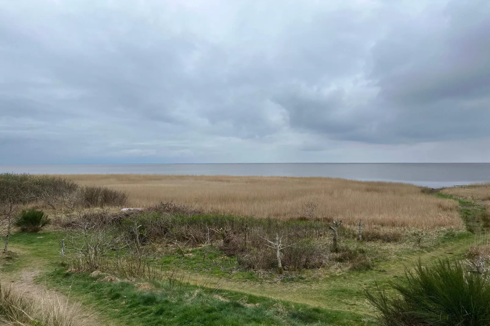 4 persoons vakantie huis in Skjern-Buitenlucht