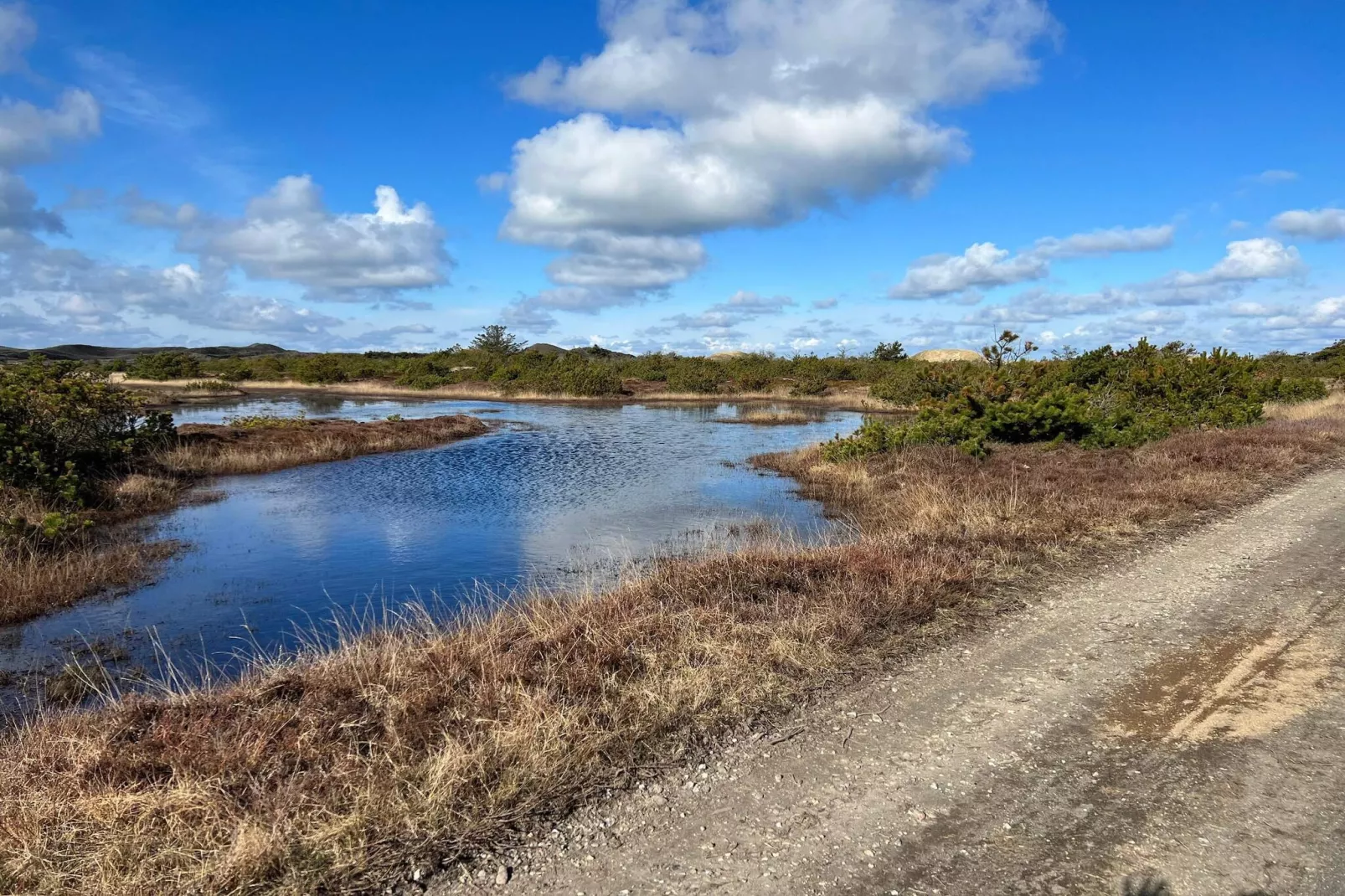 14 persoons vakantie huis in Ulfborg-Waterzicht