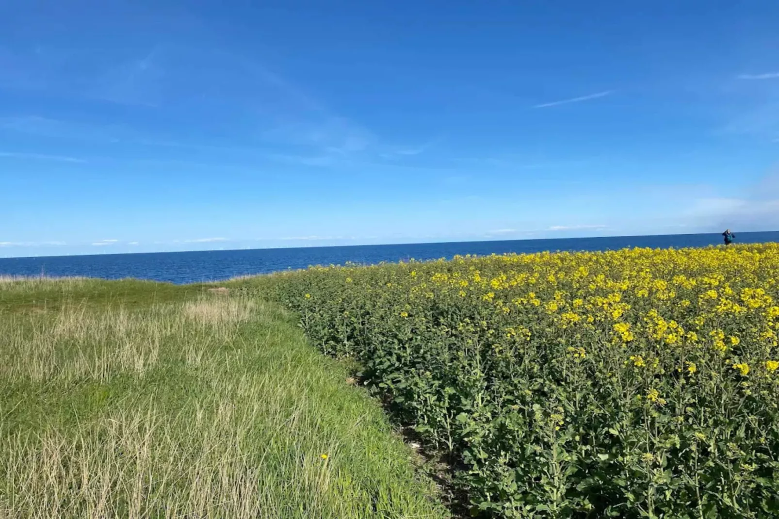 7 persoons vakantie huis in Grenaa-Waterzicht