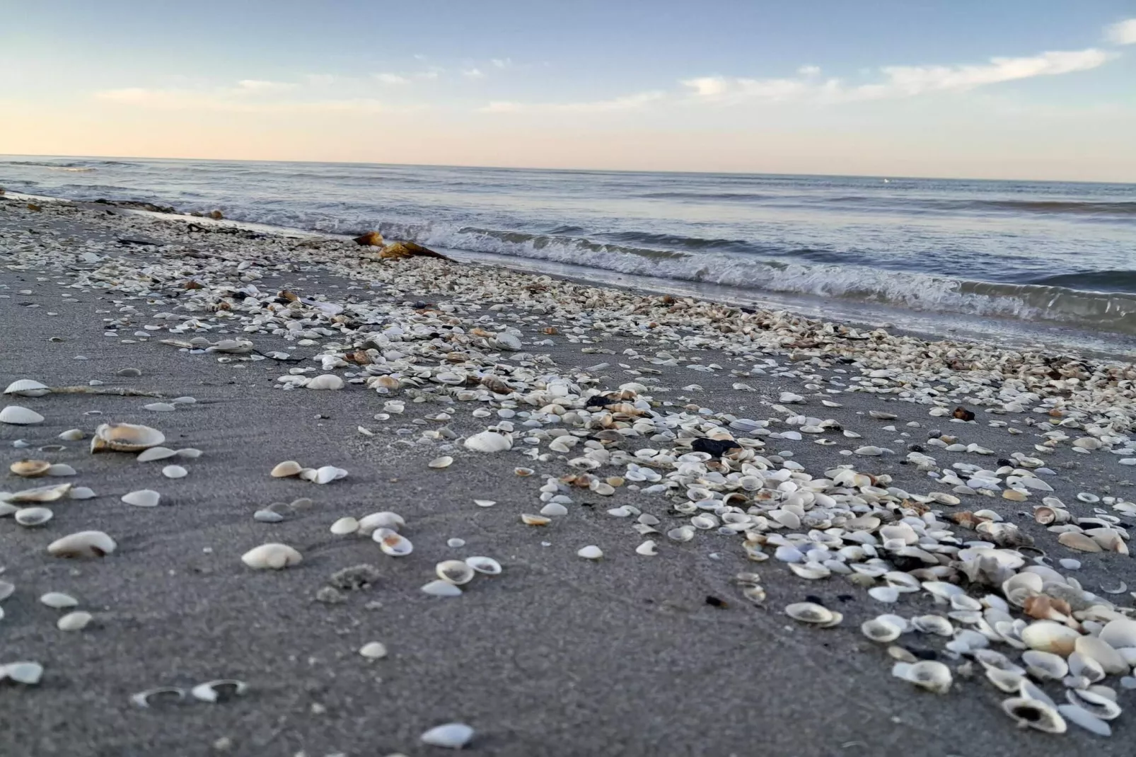 14 persoons vakantie huis in Sæby