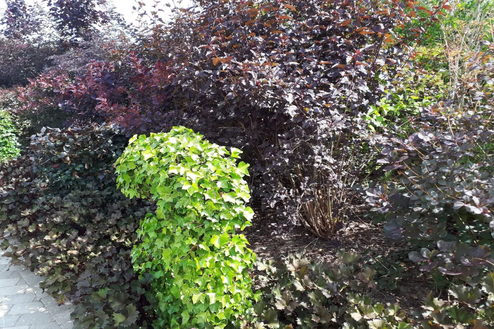 Betoverend huisje in Oksbol Oase-By Traum-Niet-getagd