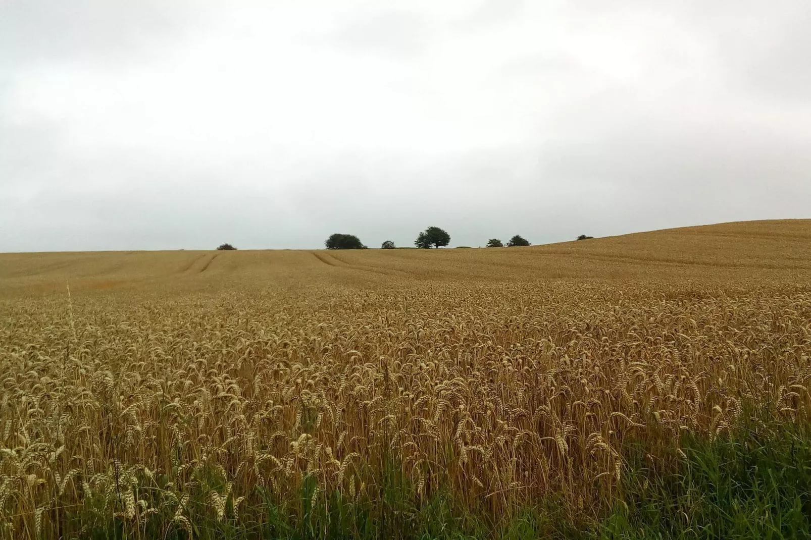 Ruim Vakantiehuis in Sonderborg-By Traum-Niet-getagd