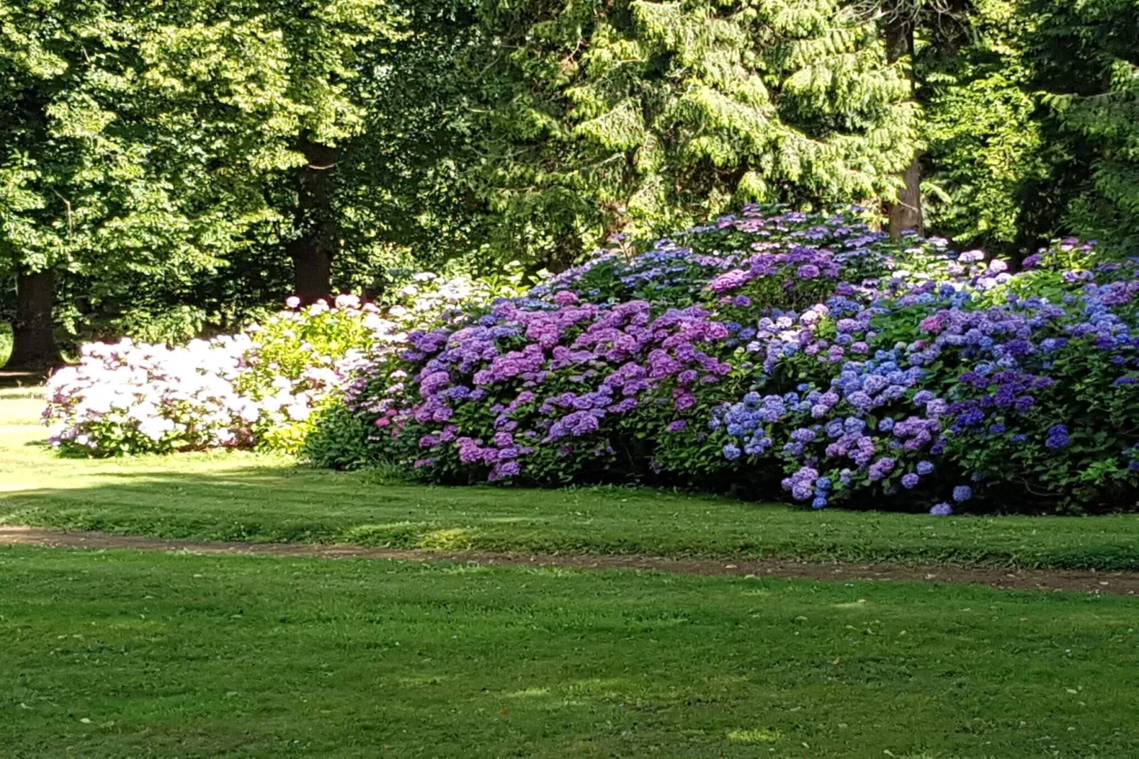 6 persoons vakantie huis in Rude-Niet-getagd