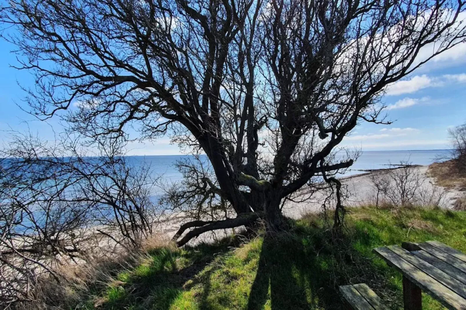 12 persoons vakantie huis in Væggerløse-Waterzicht