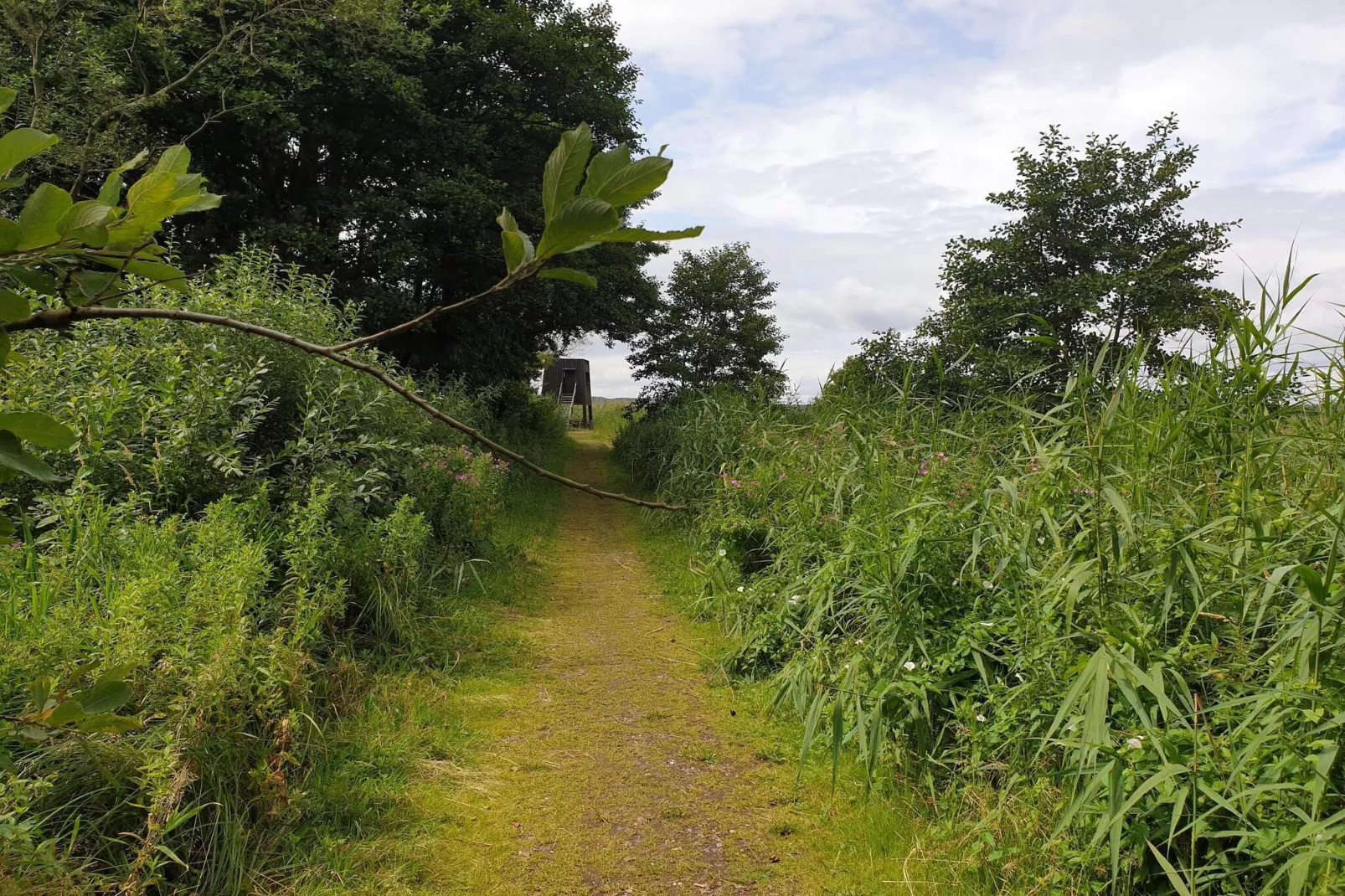 6 persoons vakantie huis in Ebeltoft-Niet-getagd