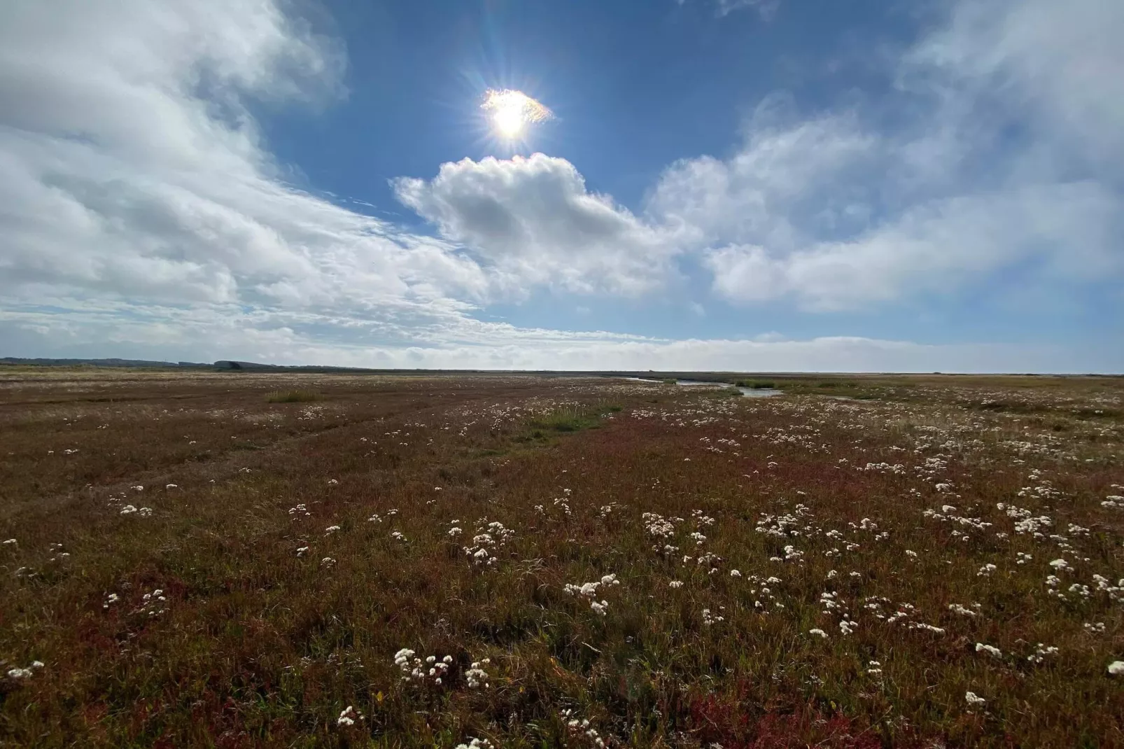 4 persoons vakantie huis in Læsø-Niet-getagd