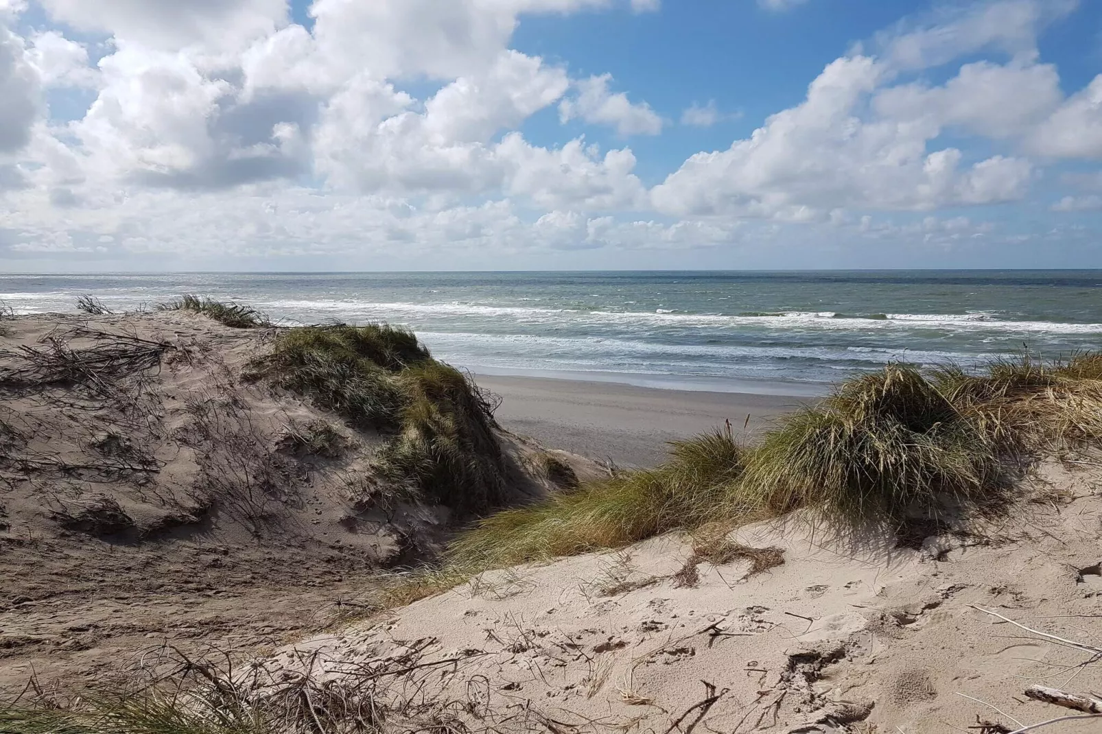 6 persoons vakantie huis in Ringkøbing-Waterzicht