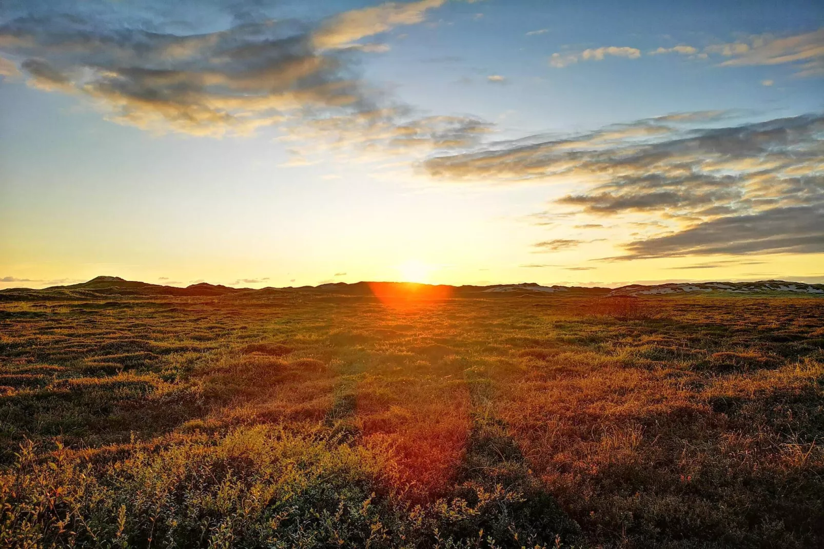 5 persoons vakantie huis in Hvide Sande-Niet-getagd