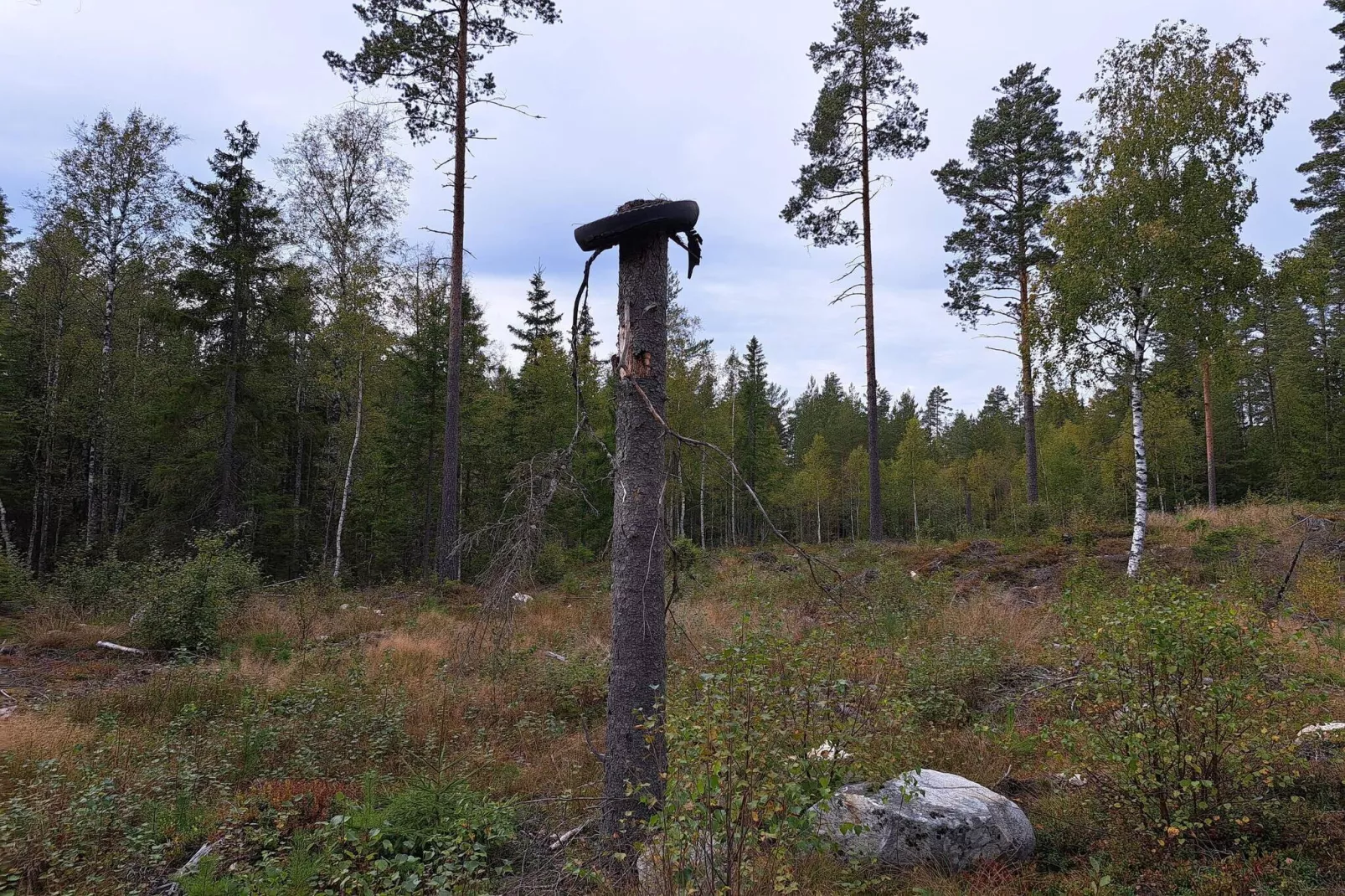 6 persoons vakantie huis in KOPPARBERG-By Traum-Niet-getagd