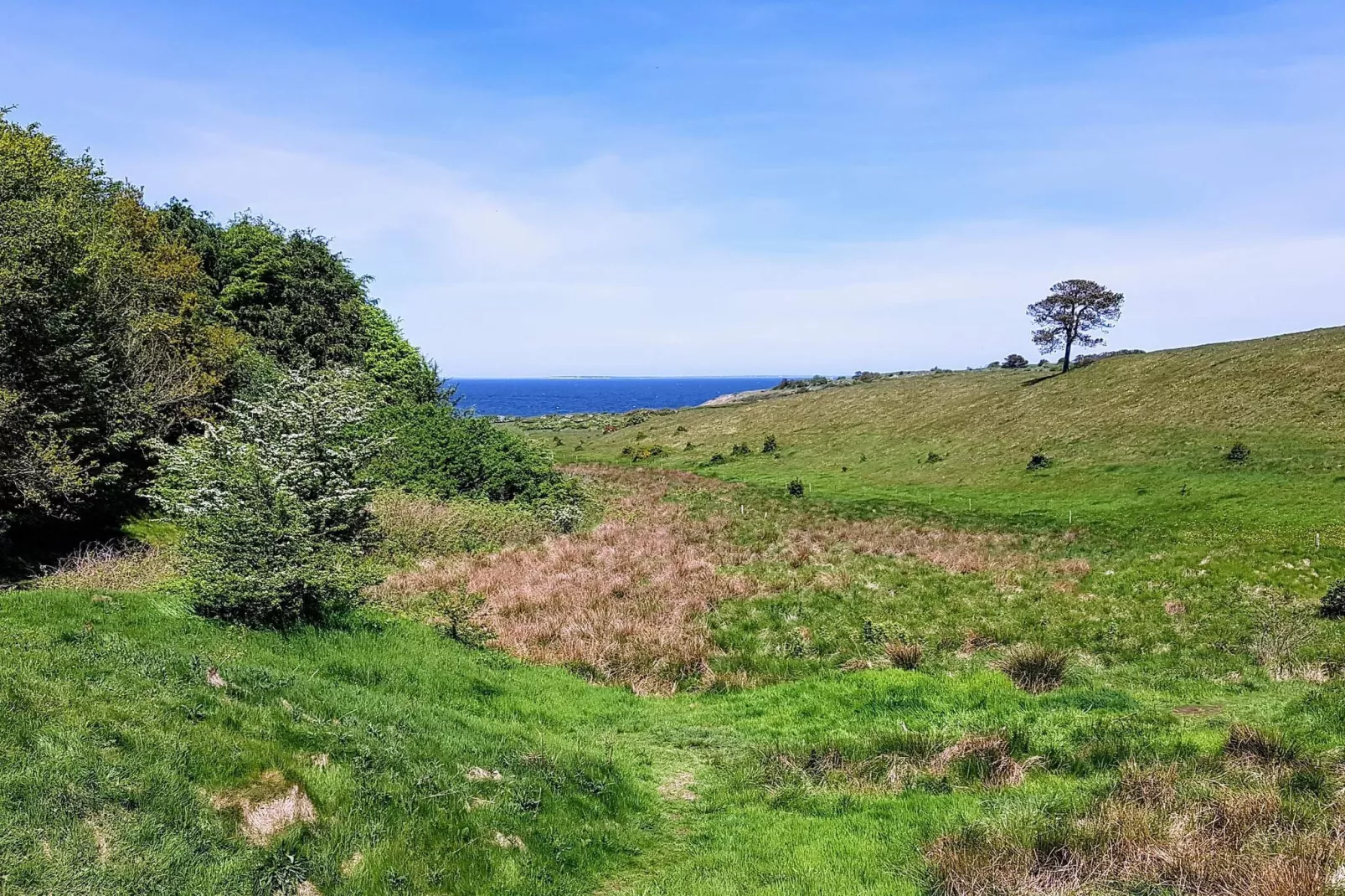 Afgelegen oase op Fur -- By Traum Ferienwohnungen-Niet-getagd