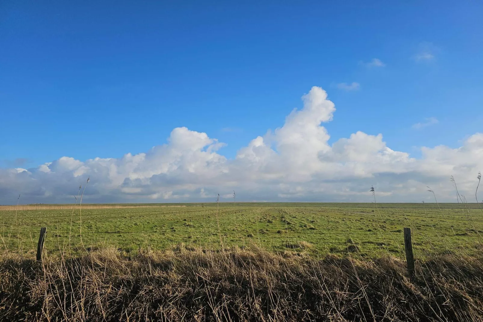 5 persoons vakantie huis in Højer-By Traum