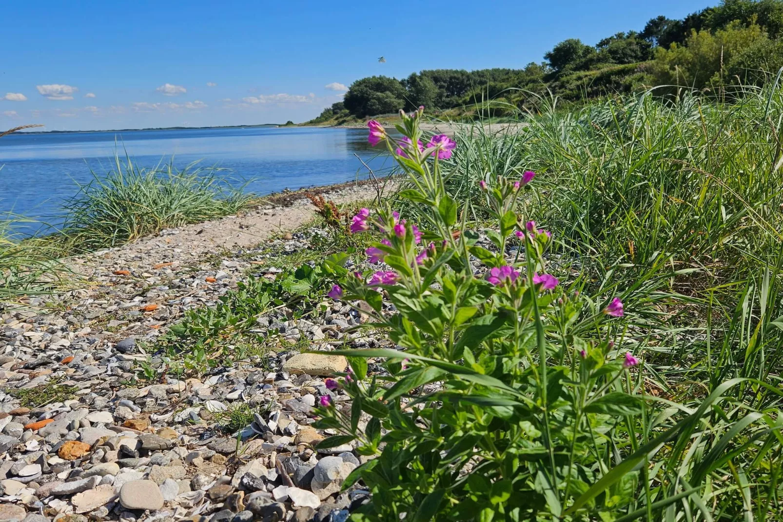 4 persoons vakantie huis in Nykøbing M-By Traum-Waterzicht