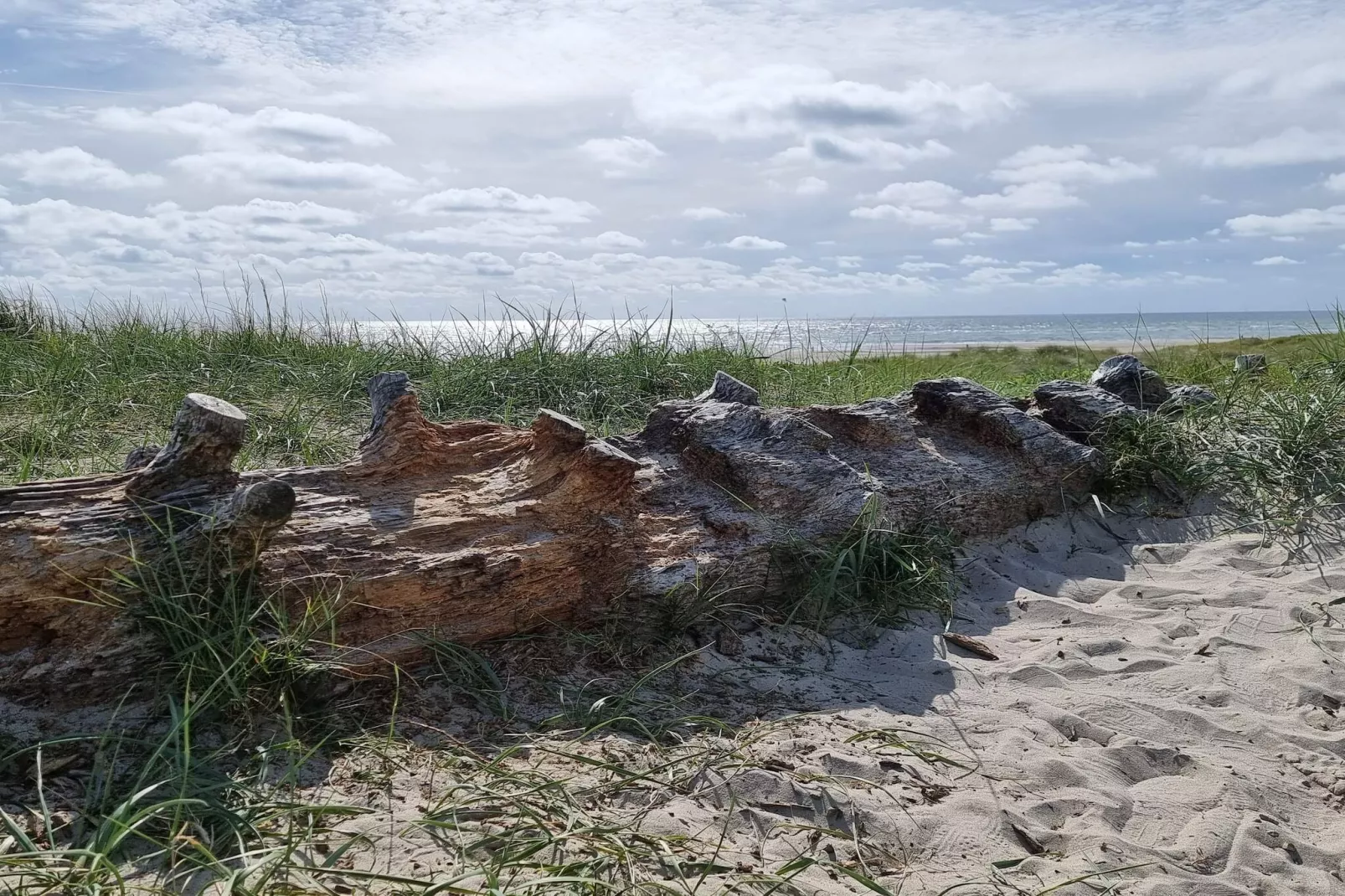 Gezellige stadswoning nabij strand -- By Traum Ferienwohnungen-Niet-getagd