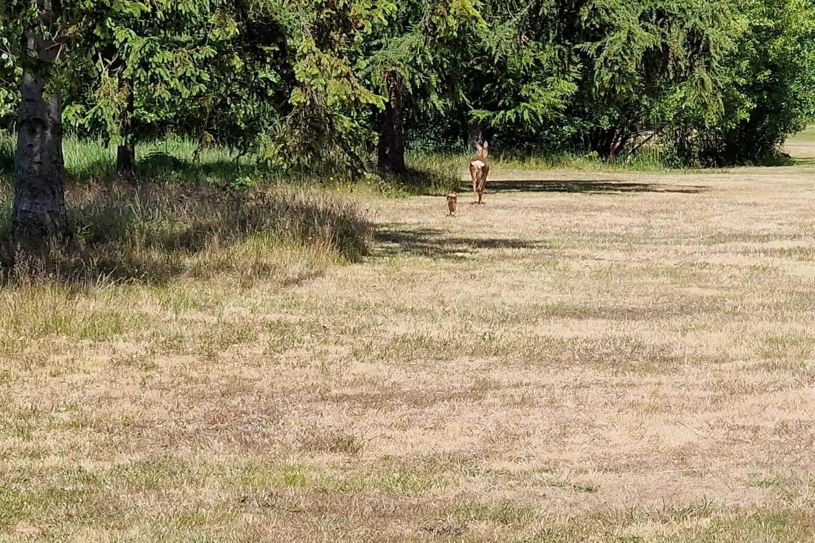 6 persoons vakantie huis in Idestrup-By Traum-Niet-getagd