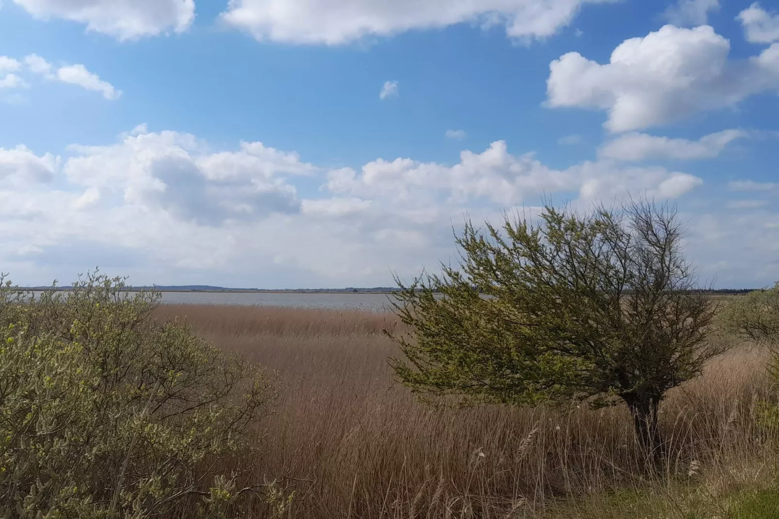 6 persoons vakantie huis in Vesløs-By Traum-Niet-getagd