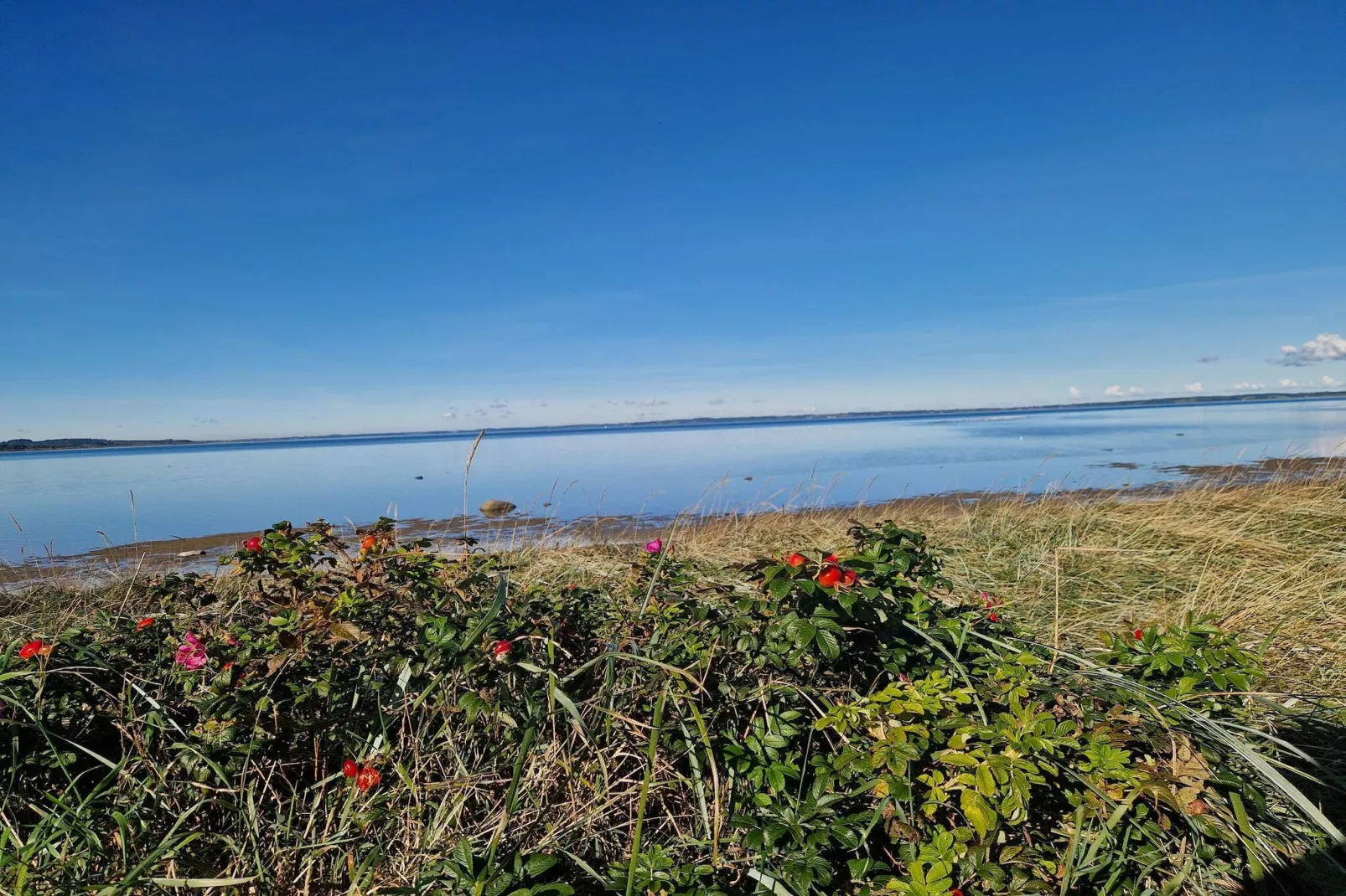 6 persoons vakantie huis in Højslev-By Traum-Waterzicht