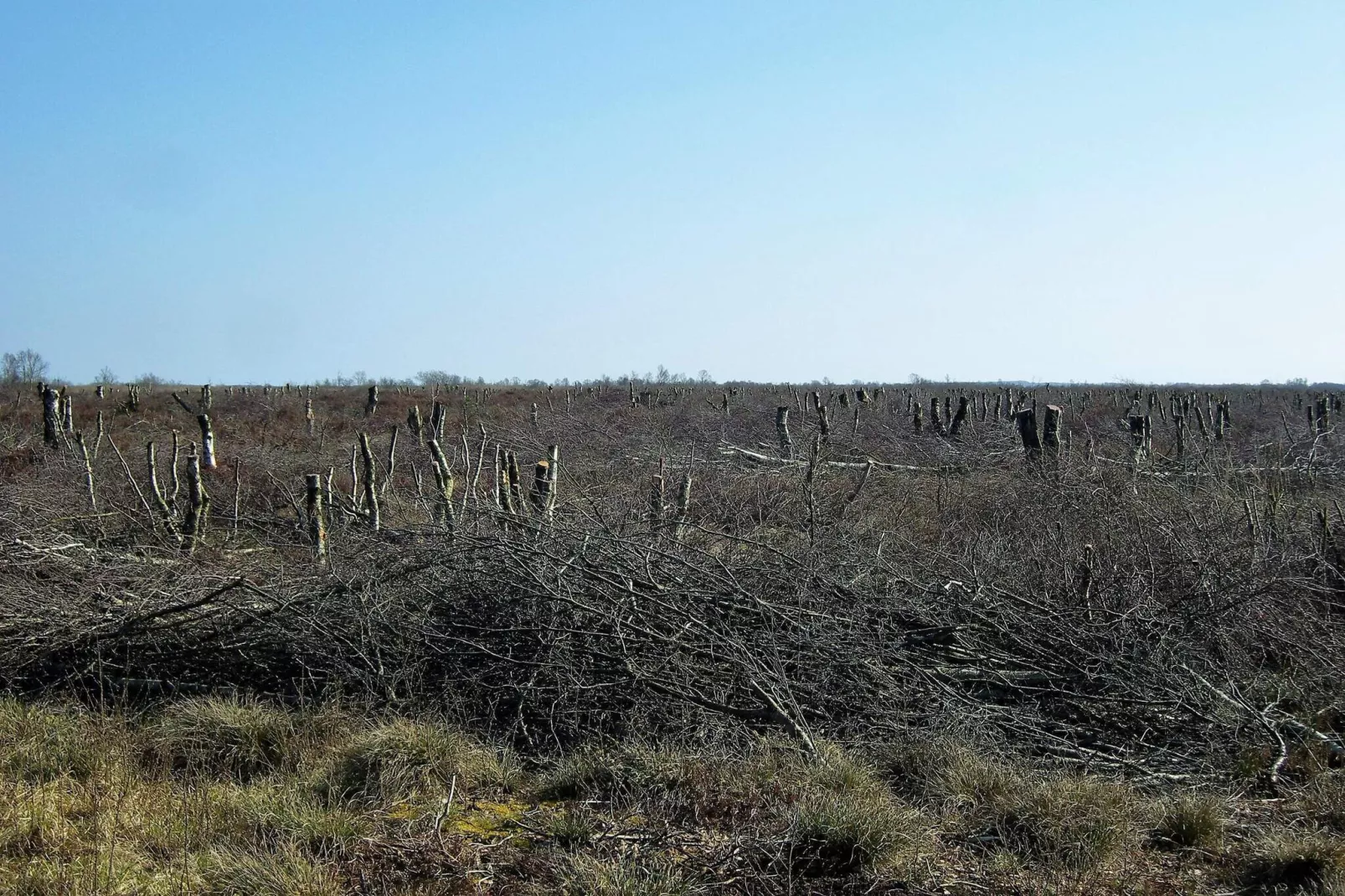 6 persoons vakantie huis in Storvorde-By Traum-Niet-getagd