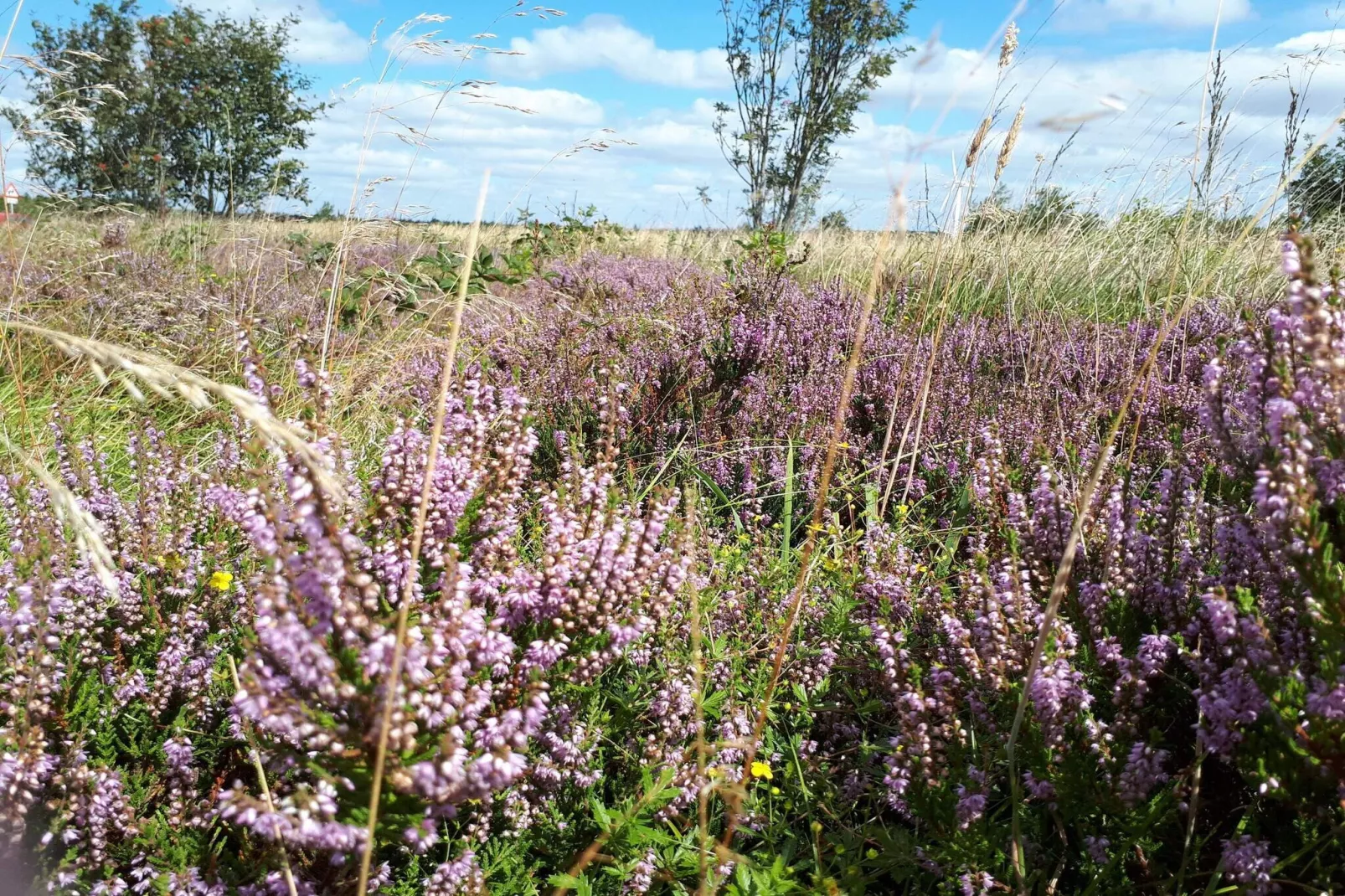 Luxe retraite bij Ho Baai -- By Traum Ferienwohnungen-Niet-getagd