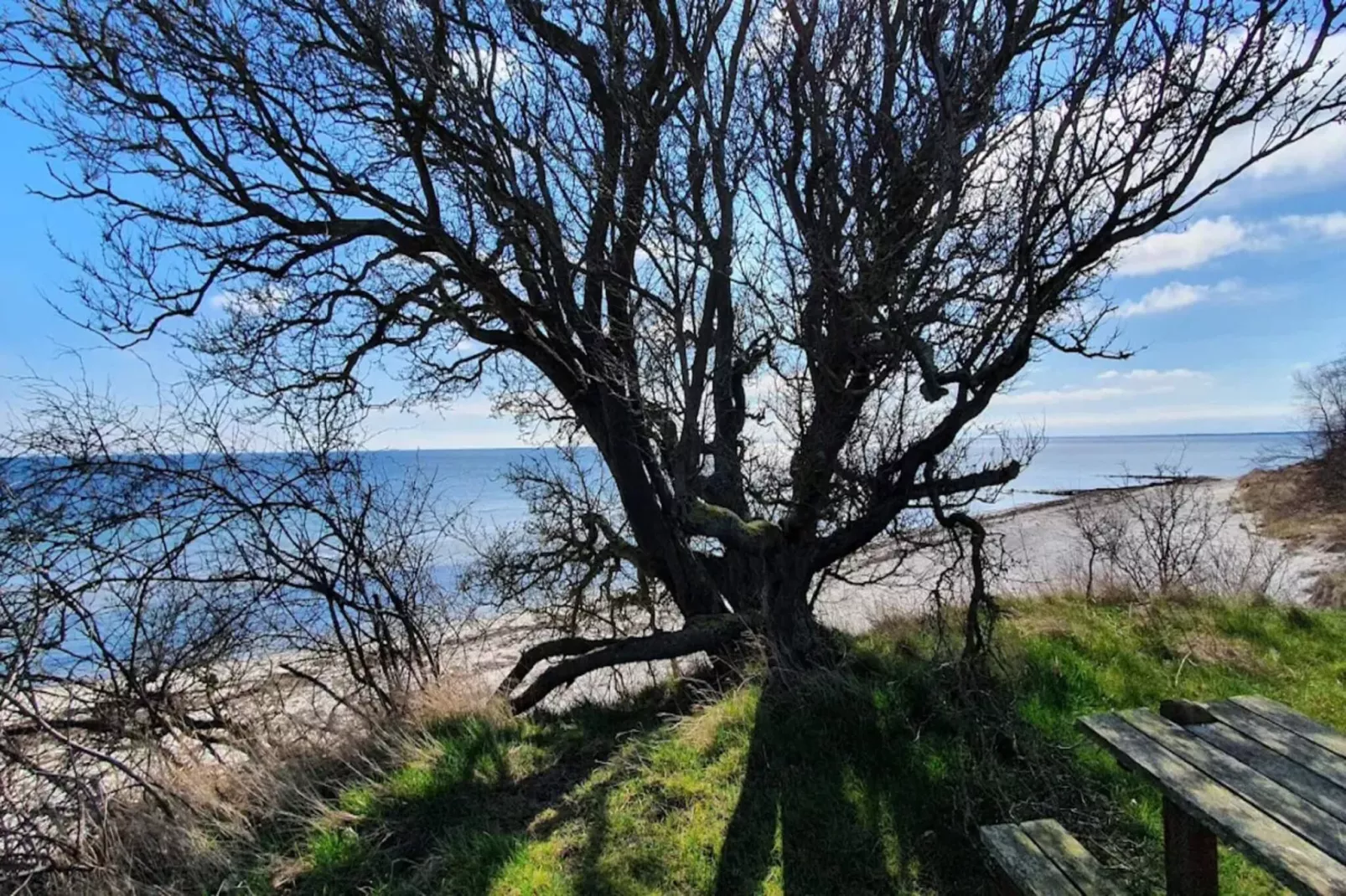 8 persoons vakantie huis in Idestrup-By Traum-Waterzicht