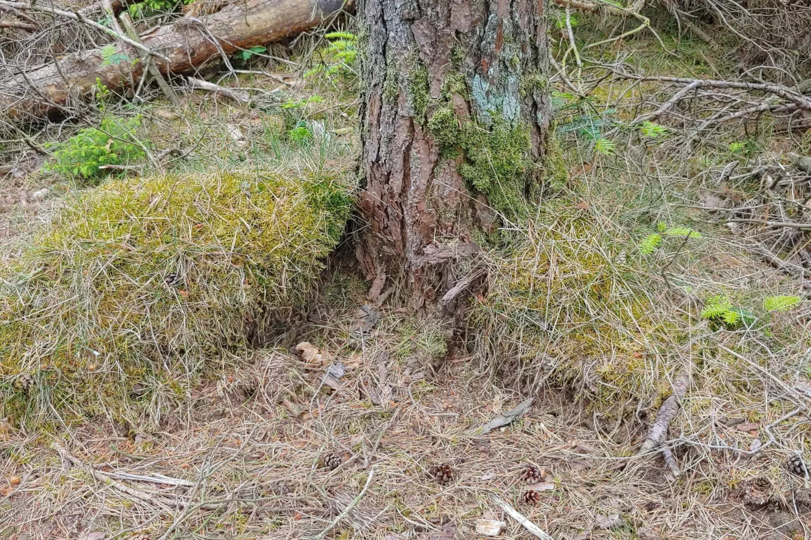 Luxe retraite met zwembad -- By Traum Ferienwohnungen-Niet-getagd