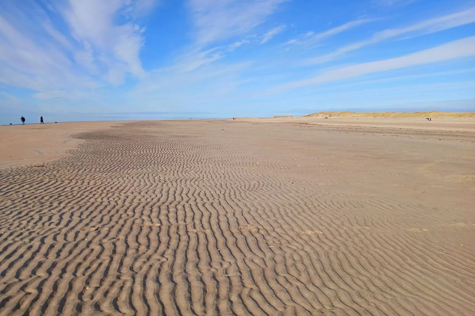 8 persoons vakantie huis in Rømø-By Traum-Niet-getagd