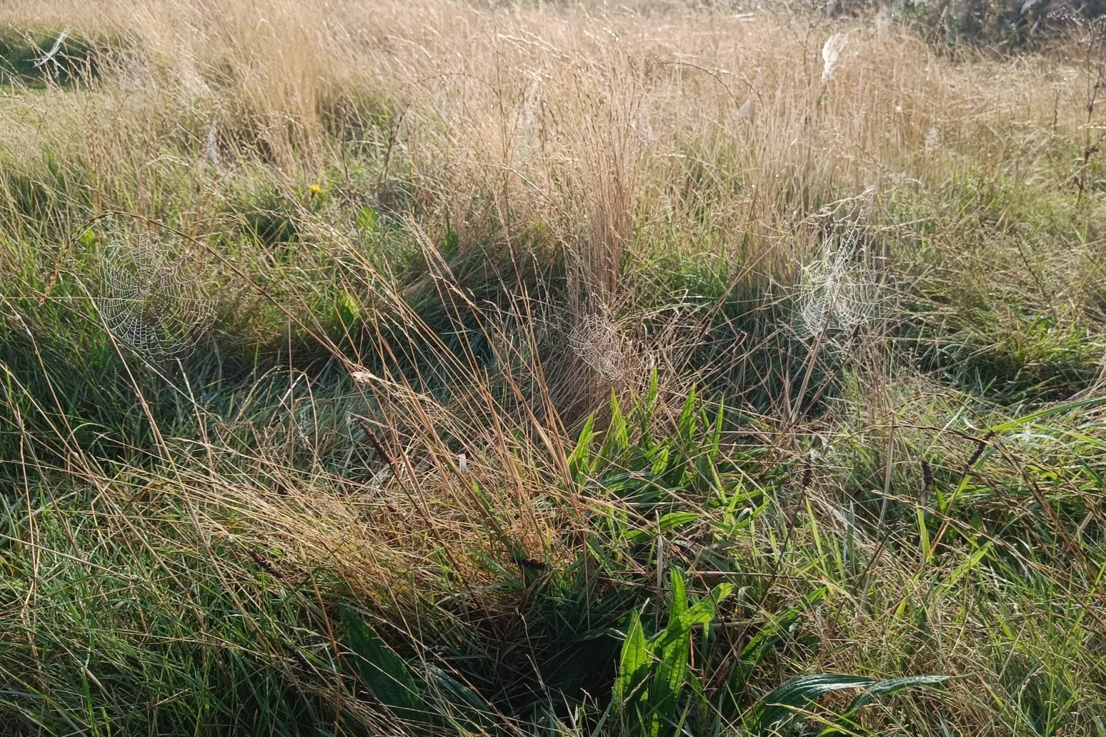 6 persoons vakantie huis in Lemvig-By Traum-Niet-getagd