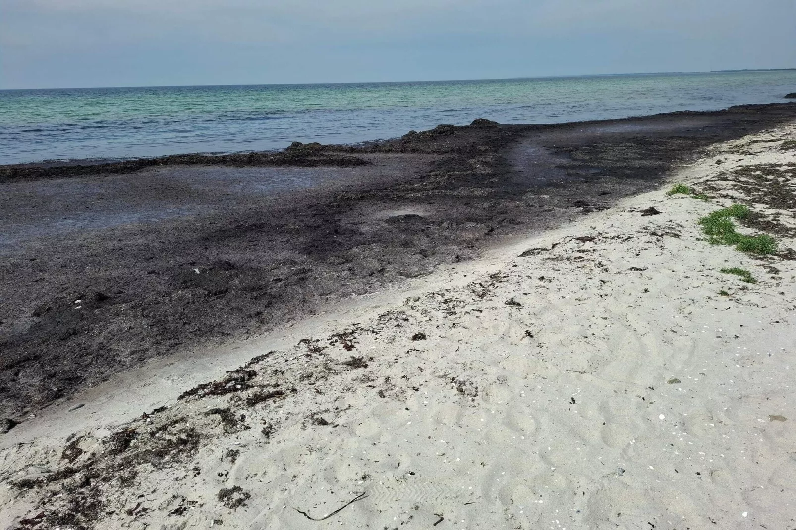 Gezinsparadijs in Kramnitze -- By Traum Ferienwohnungen-Waterzicht