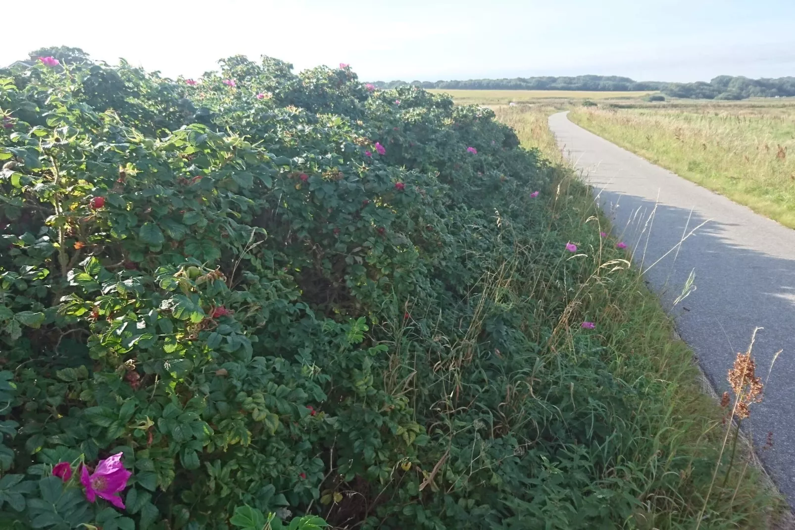 4 persoons vakantie huis in Nibe-By Traum-Niet-getagd