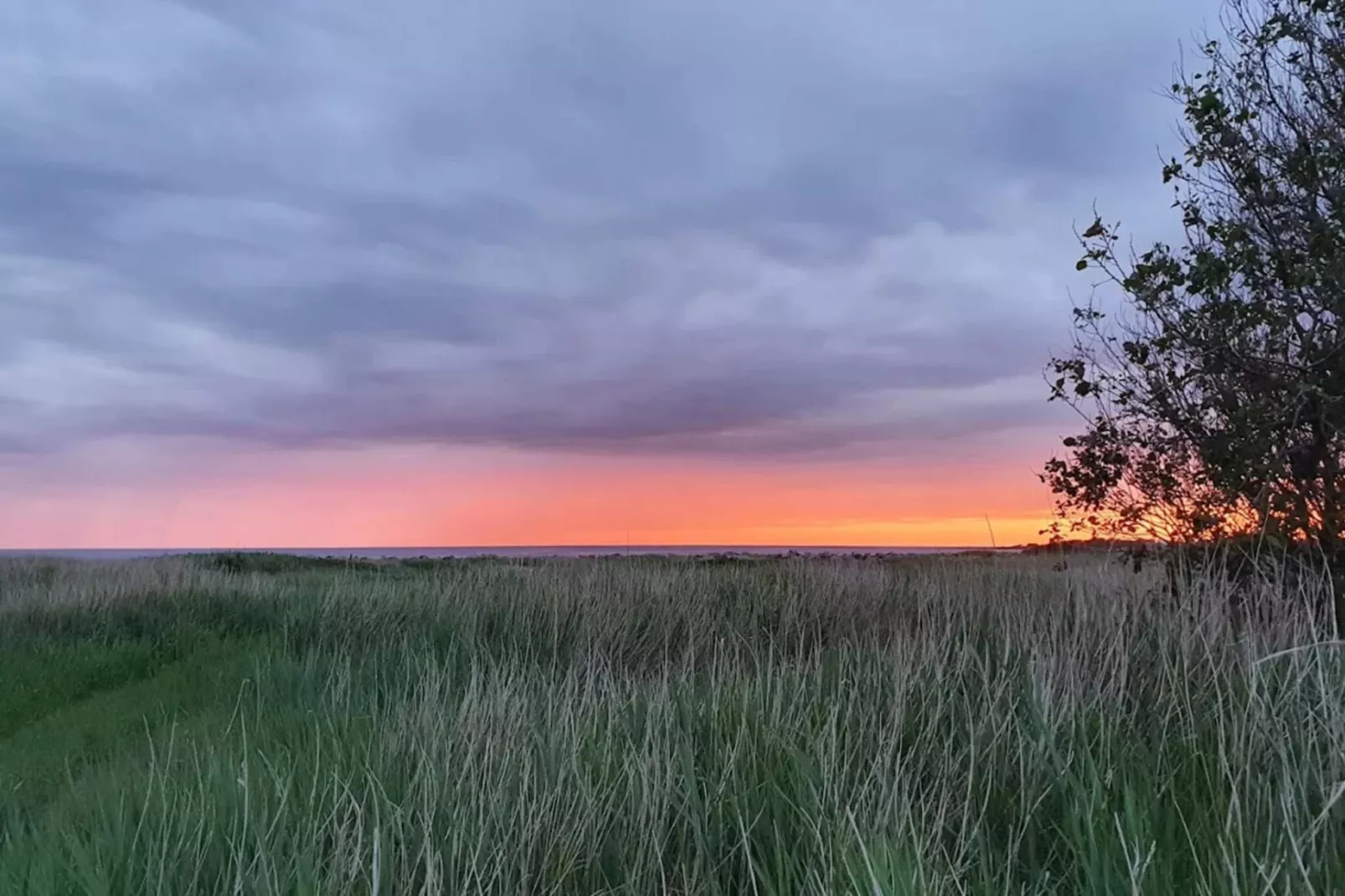 2 persoons vakantie huis in FALKENBERG-By Traum-Niet-getagd
