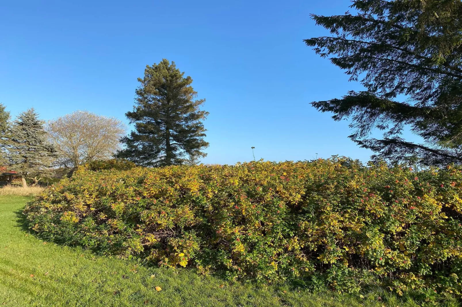 6 persoons vakantie huis in Hadsund-By Traum-Niet-getagd