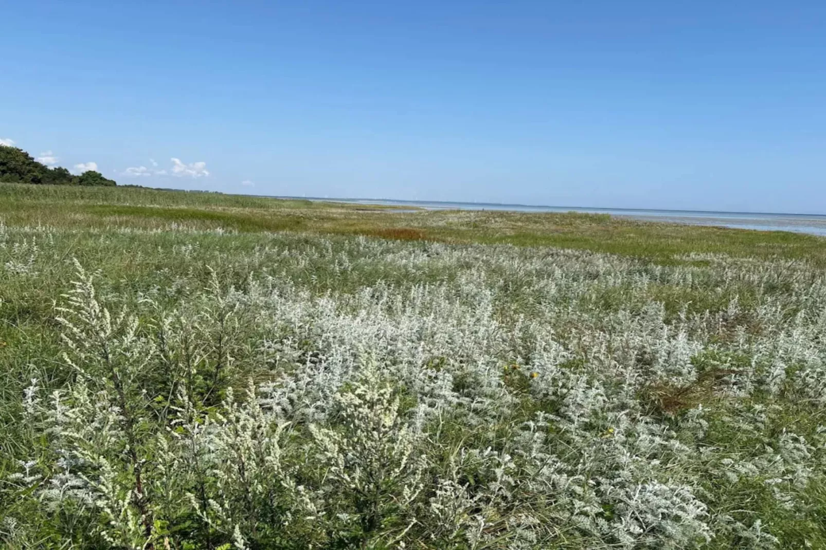 8 persoons vakantie huis in Ørsted-By Traum-Waterzicht