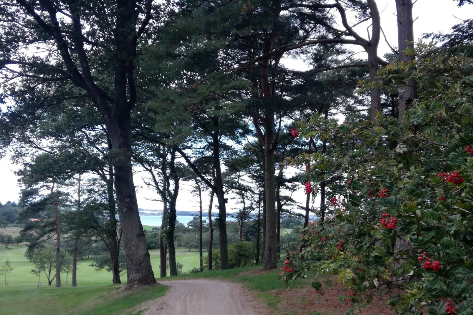 8 persoons vakantie huis in Skals-Niet-getagd