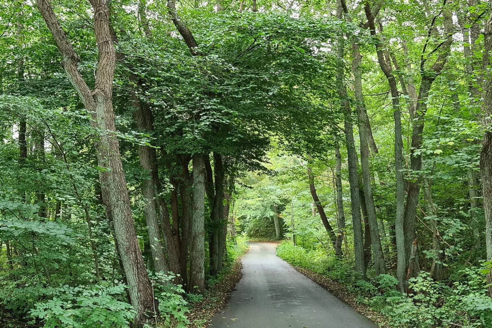 6 persoons vakantie huis in Jægerspris-By Traum-Niet-getagd
