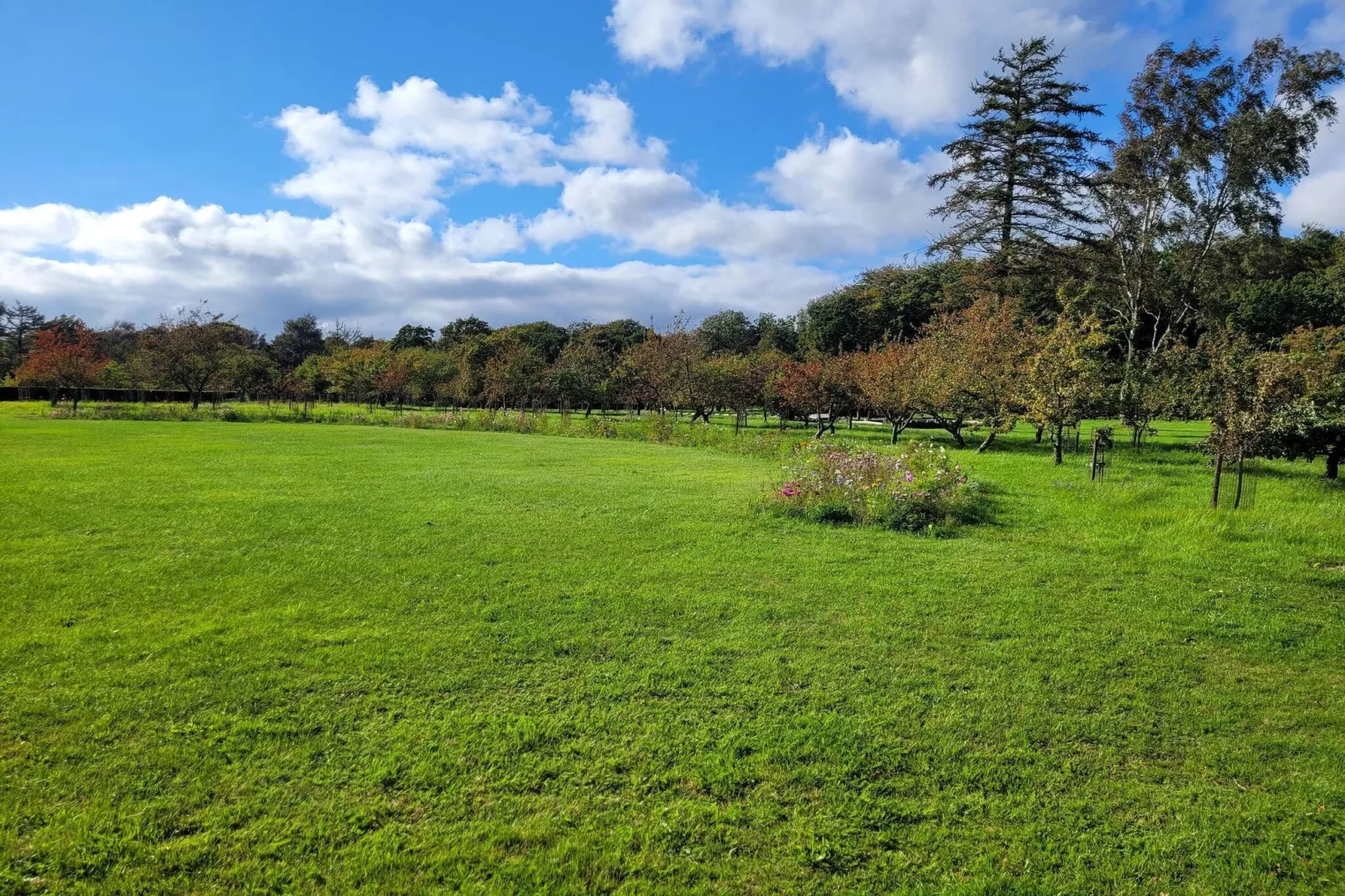 8 persoons vakantie huis in Sæby-By Traum-Niet-getagd