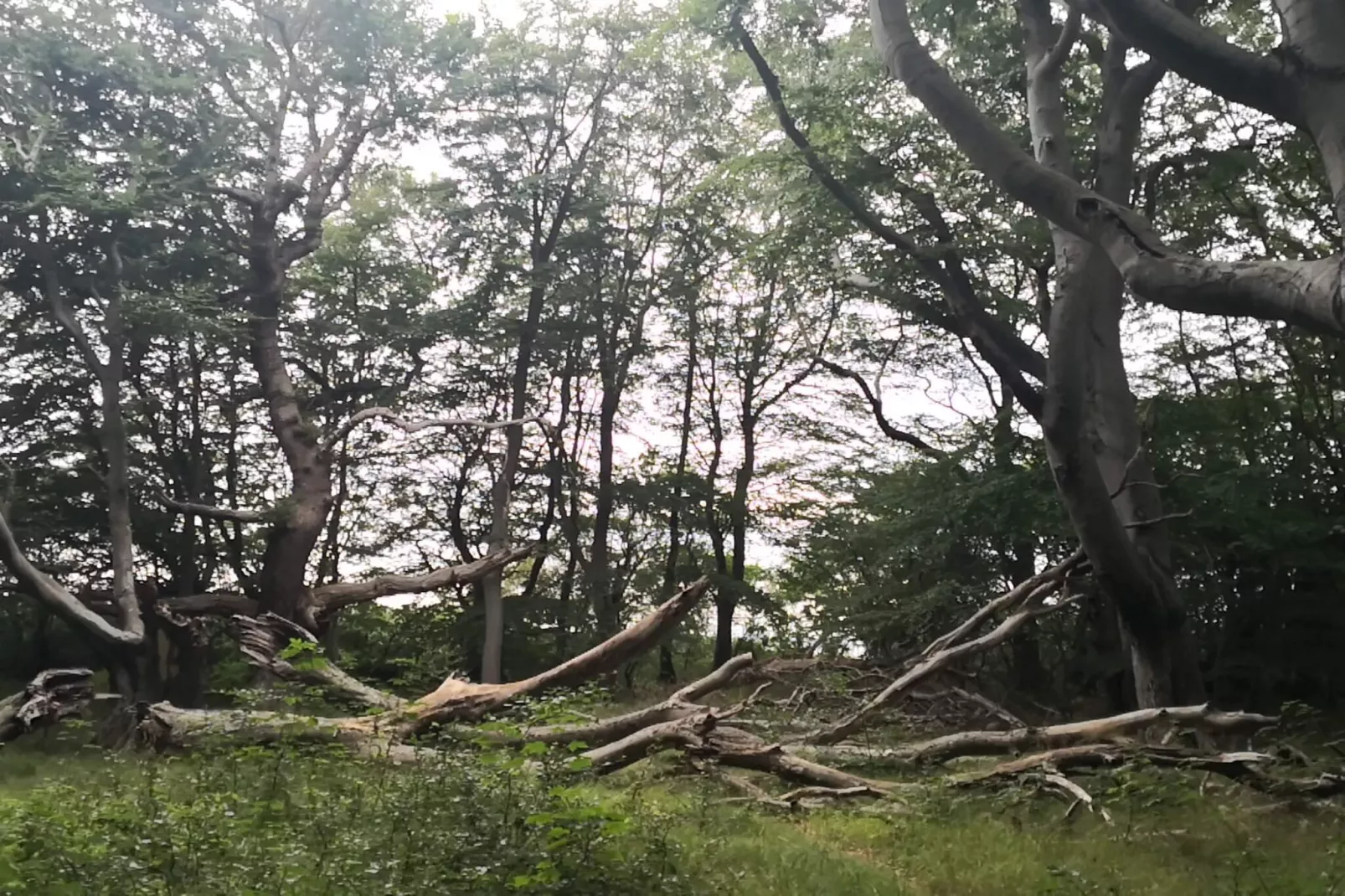 Luxe zwembadvilla in Lohals -- By Traum Ferienwohnungen-Niet-getagd