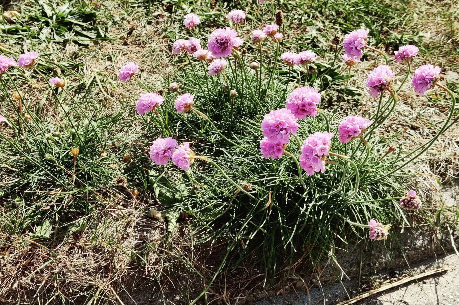 Panoramisch kustverblijf -- By Traum Ferienwohnungen - Niet-getagd