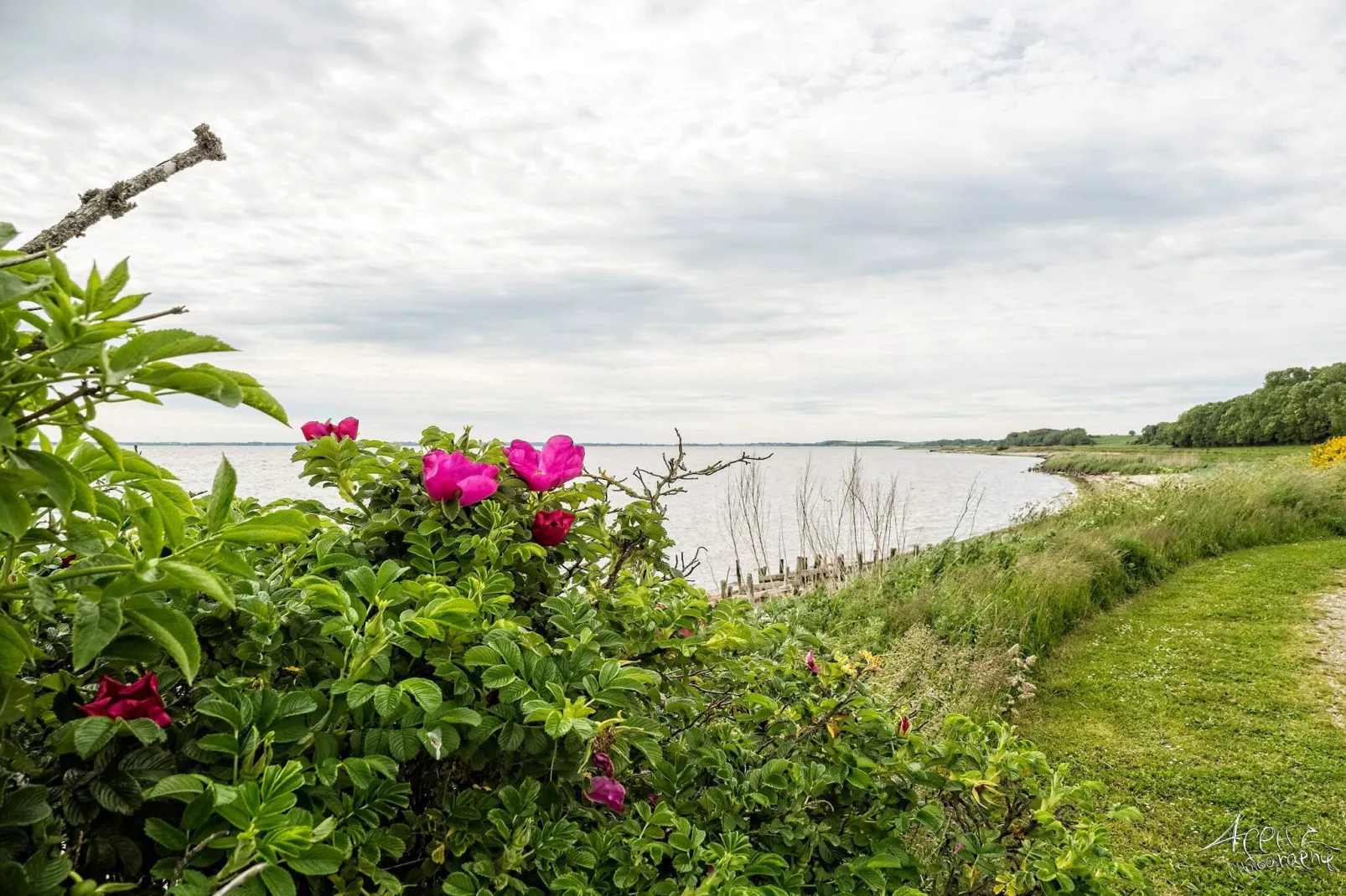 6 persoons vakantie huis in Roslev-By Traum