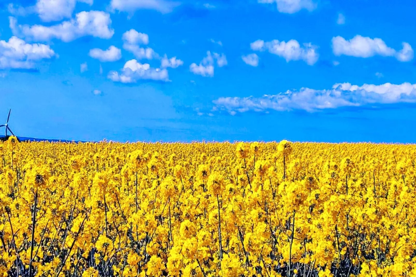 6 persoons vakantie huis in Jægerspris-By Traum-Waterzicht