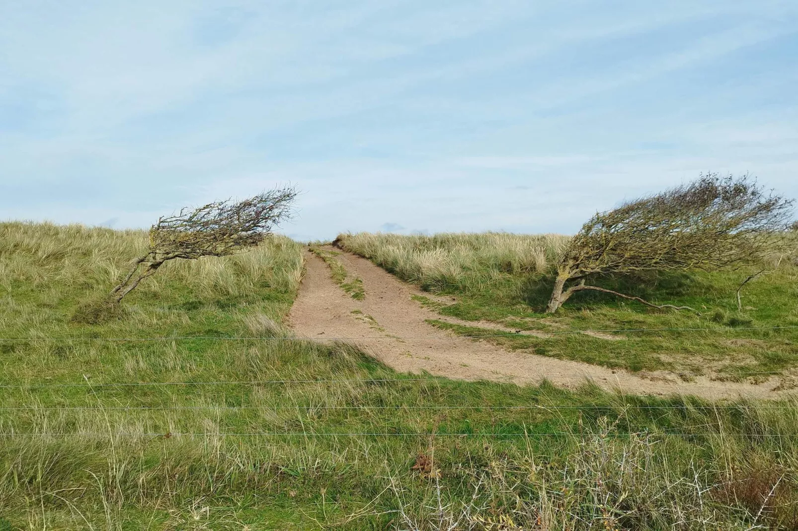 Panoramisch kustverblijf -- By Traum Ferienwohnungen-Niet-getagd